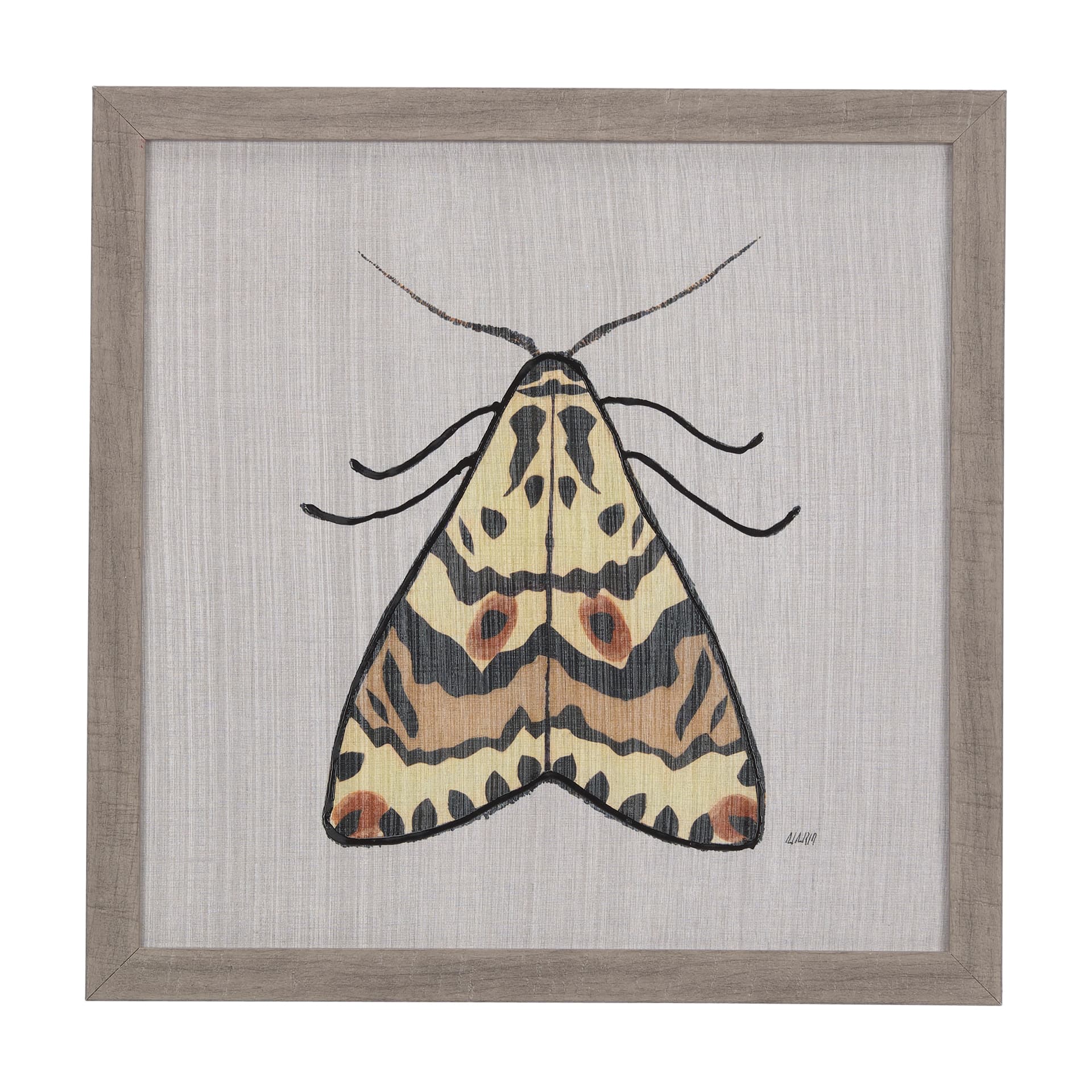 Moth III by Mercana Studio a Hand Embellished Textured Framed Art Print — product photograph