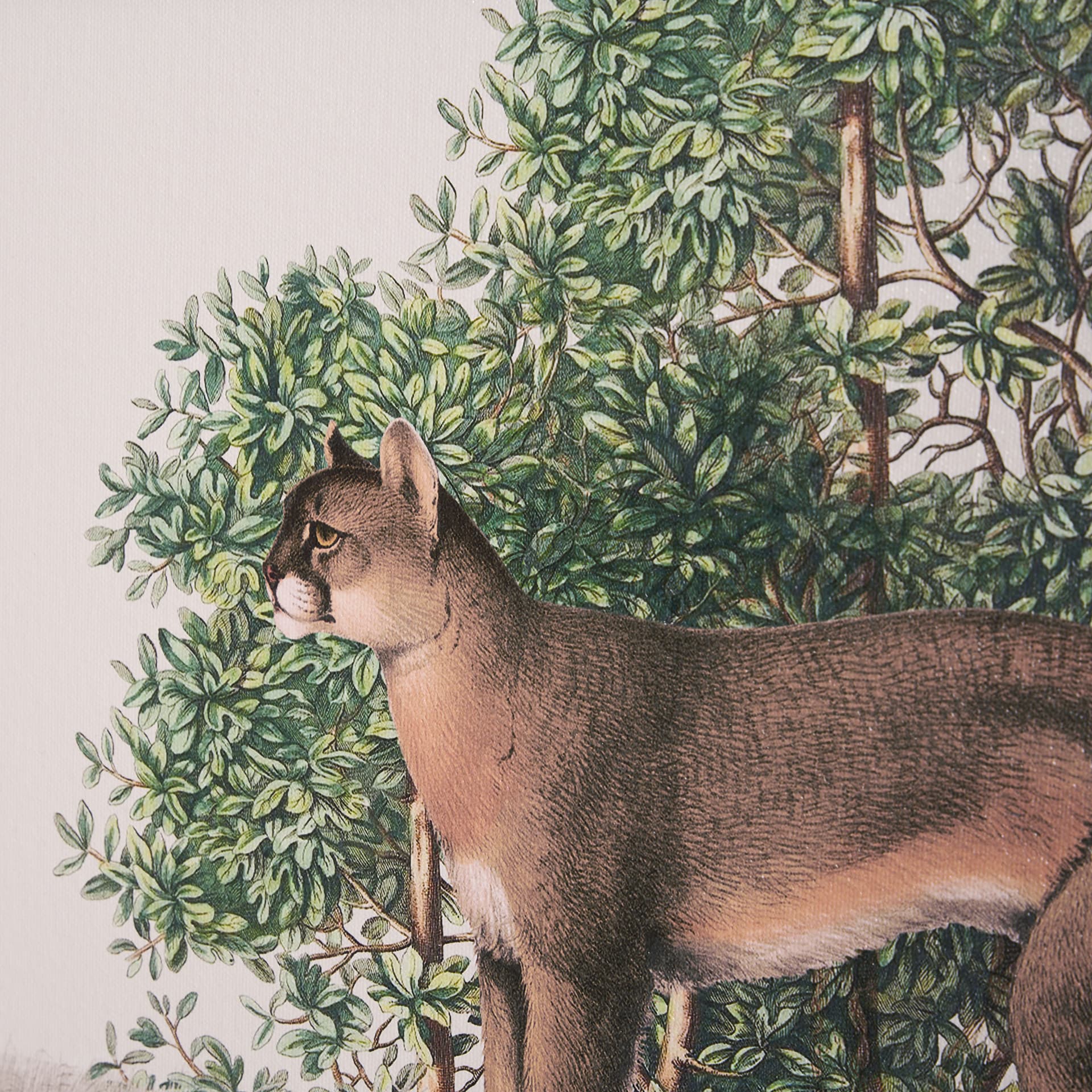 Travel Guide - Florida by Vintage Collection a Hand Embellished Textured Framed Art Print — product photograph