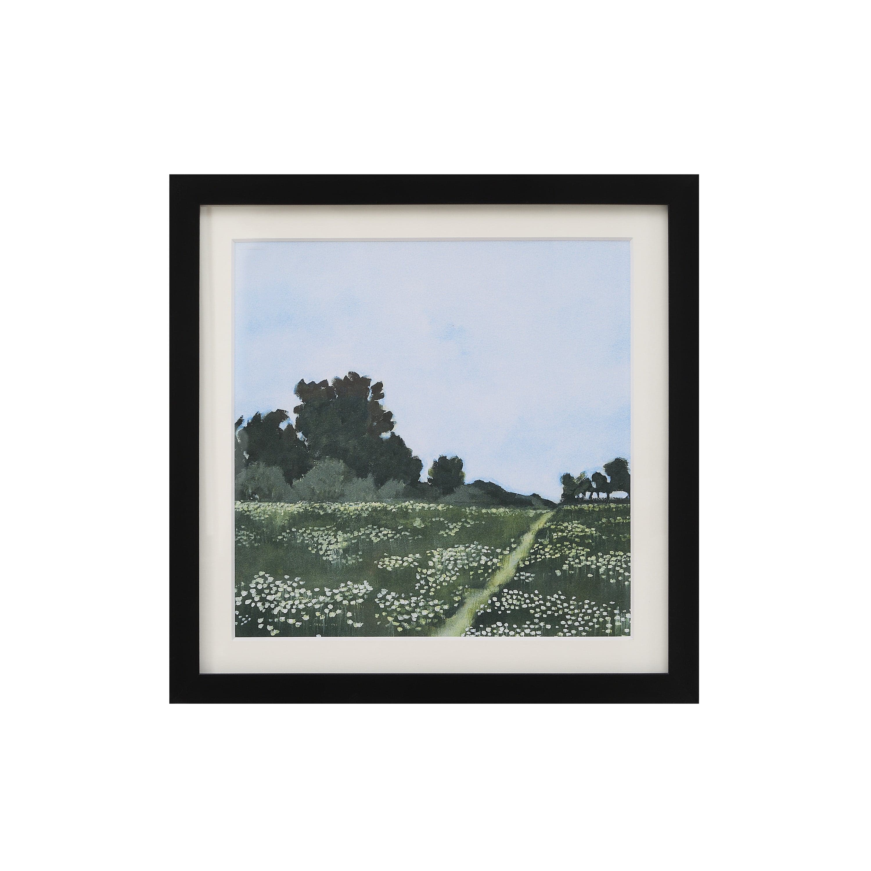 Olmo — product photograph