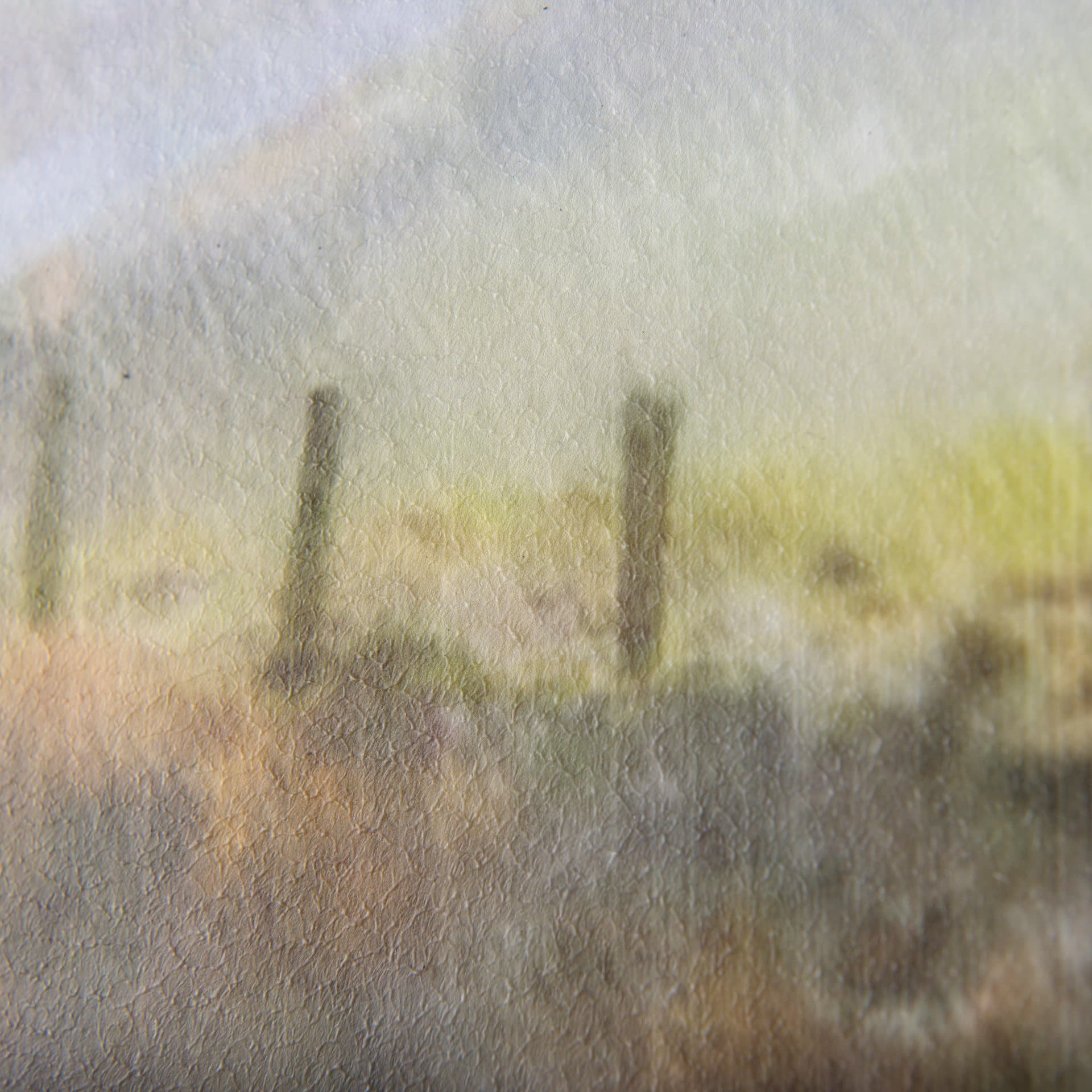 City Fox by Mercana Studio a Hand Embelished Textured Framed Art Print — product photograph