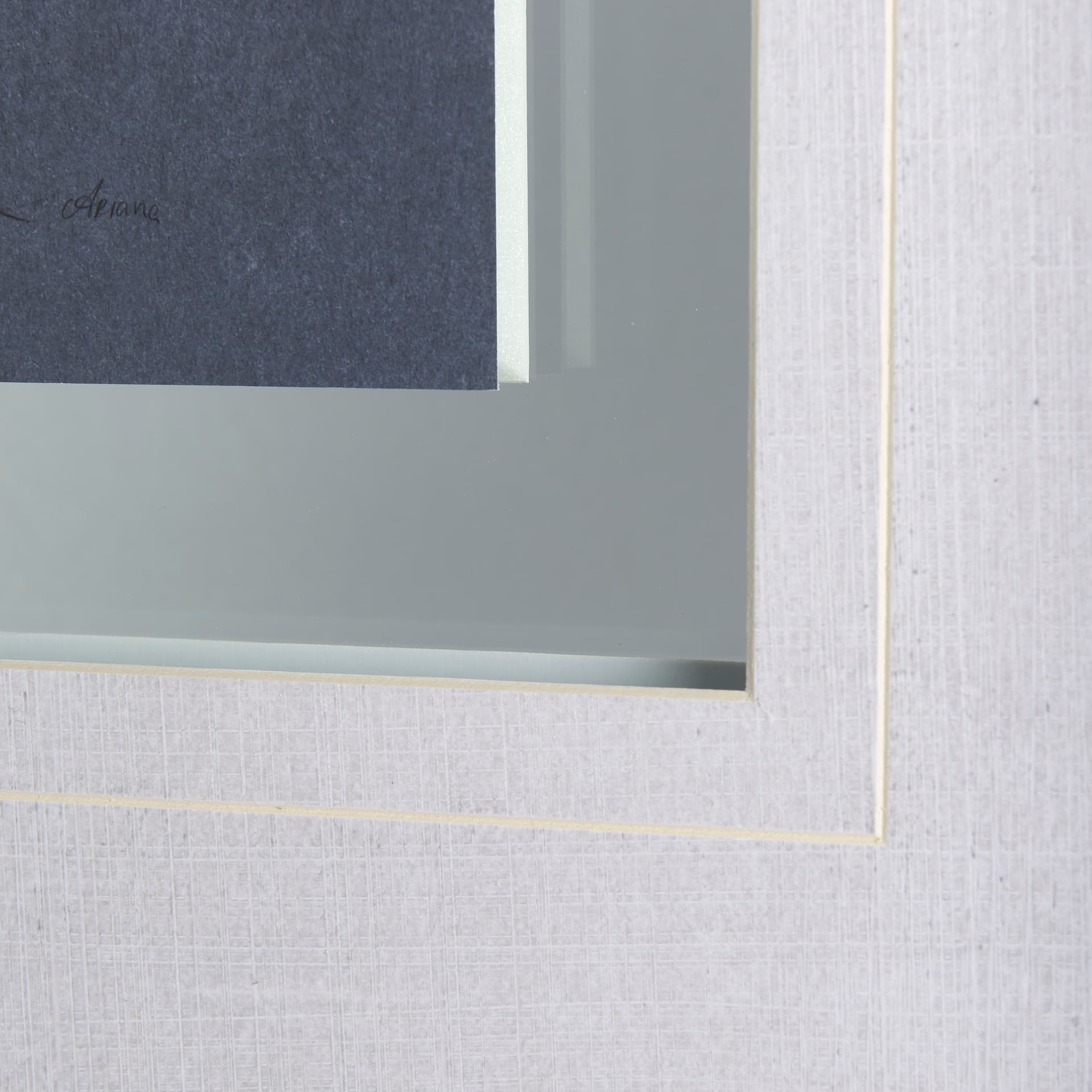 Botanical sketchesVI (Blue) by Mercana Studio Hand Embellished Framed Art Print Matted under Glass — product photograph