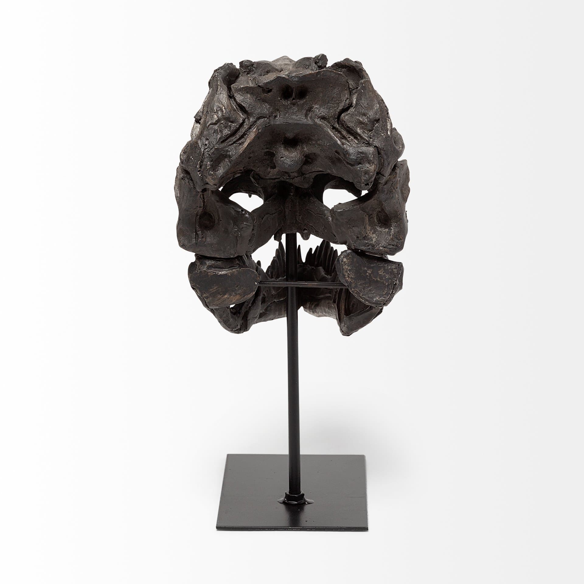 Jurassic 6L x 10W Brown Resin Tyrannosaurus Skull Replica — product photograph