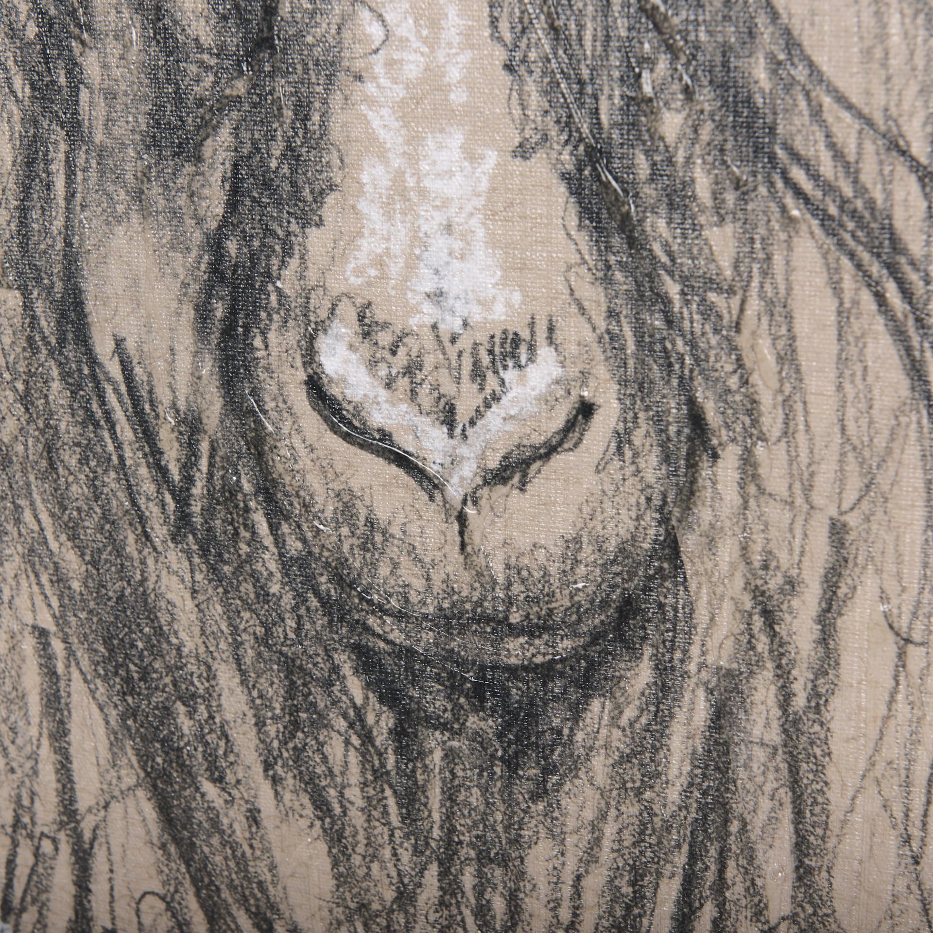 Sketch of animal V (Goat) by Mercana Studio a Hand Embellished Textured Canvas — product photograph