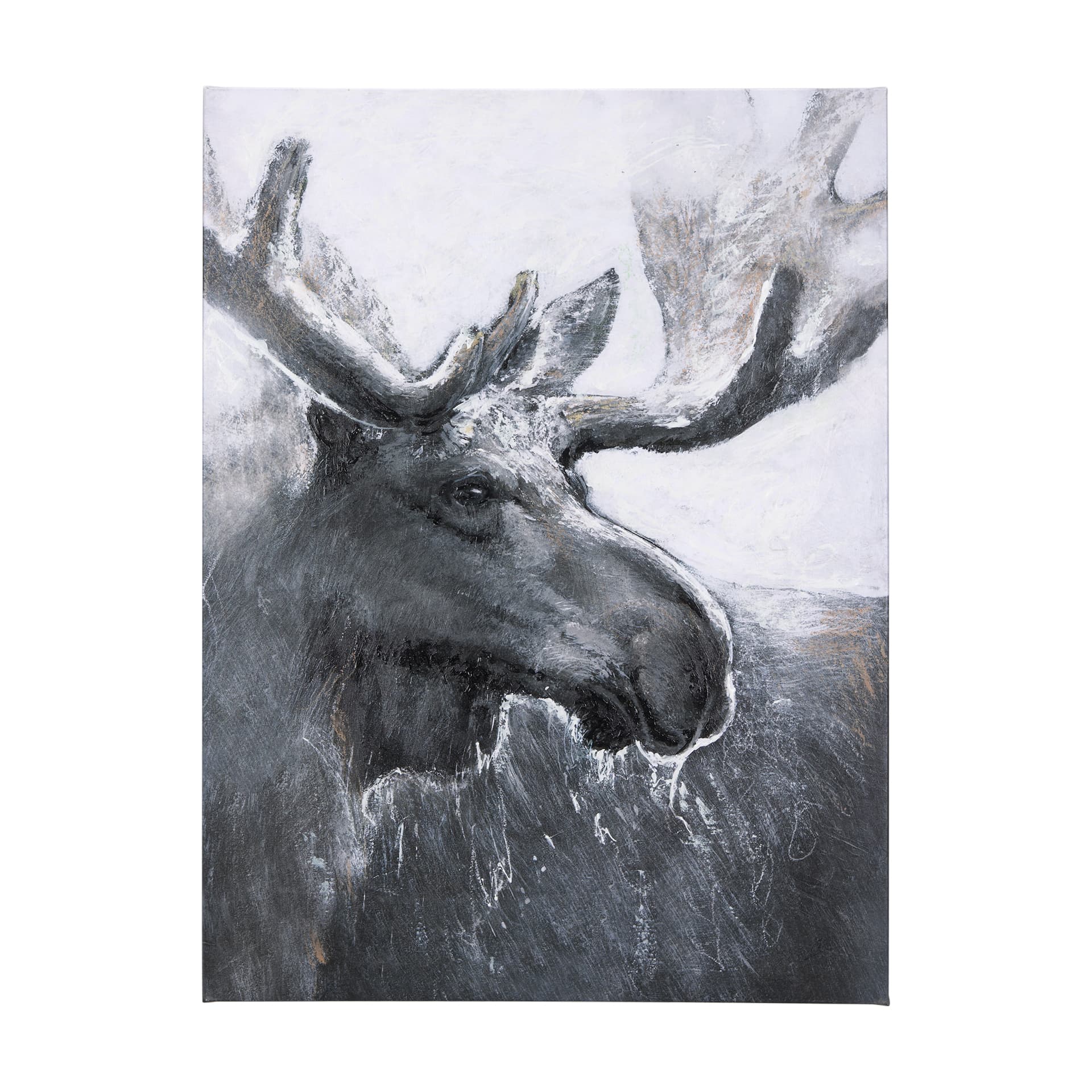 Animal Portrait I by Mercana Studio a Hand Embellished Textured Canvas — product photograph