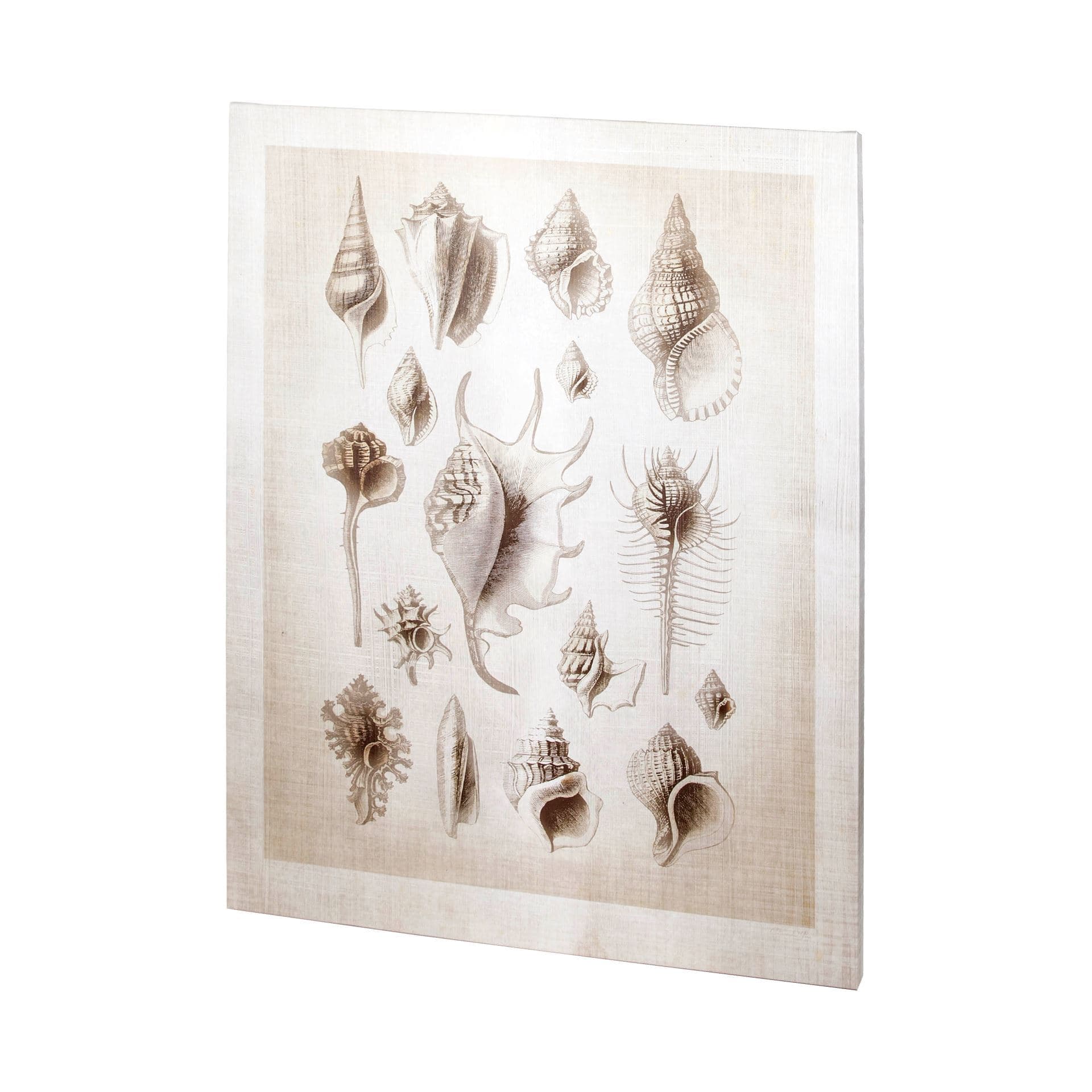 Ocean Shell Collection II by Christopher James a Hand Embellished Textured Canvas — product photograph