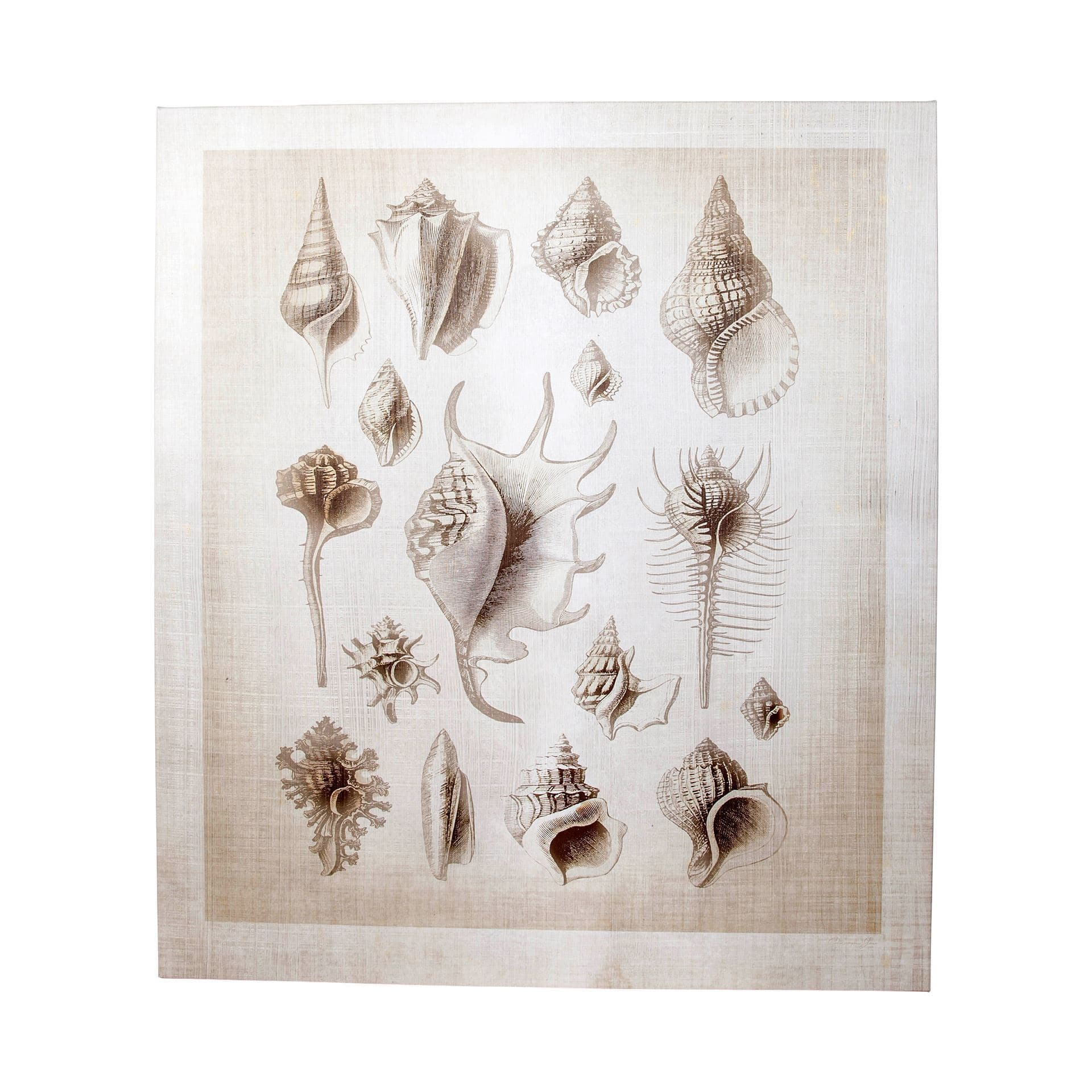 Ocean Shell Collection II by Christopher James a Hand Embellished Textured Canvas — product photograph
