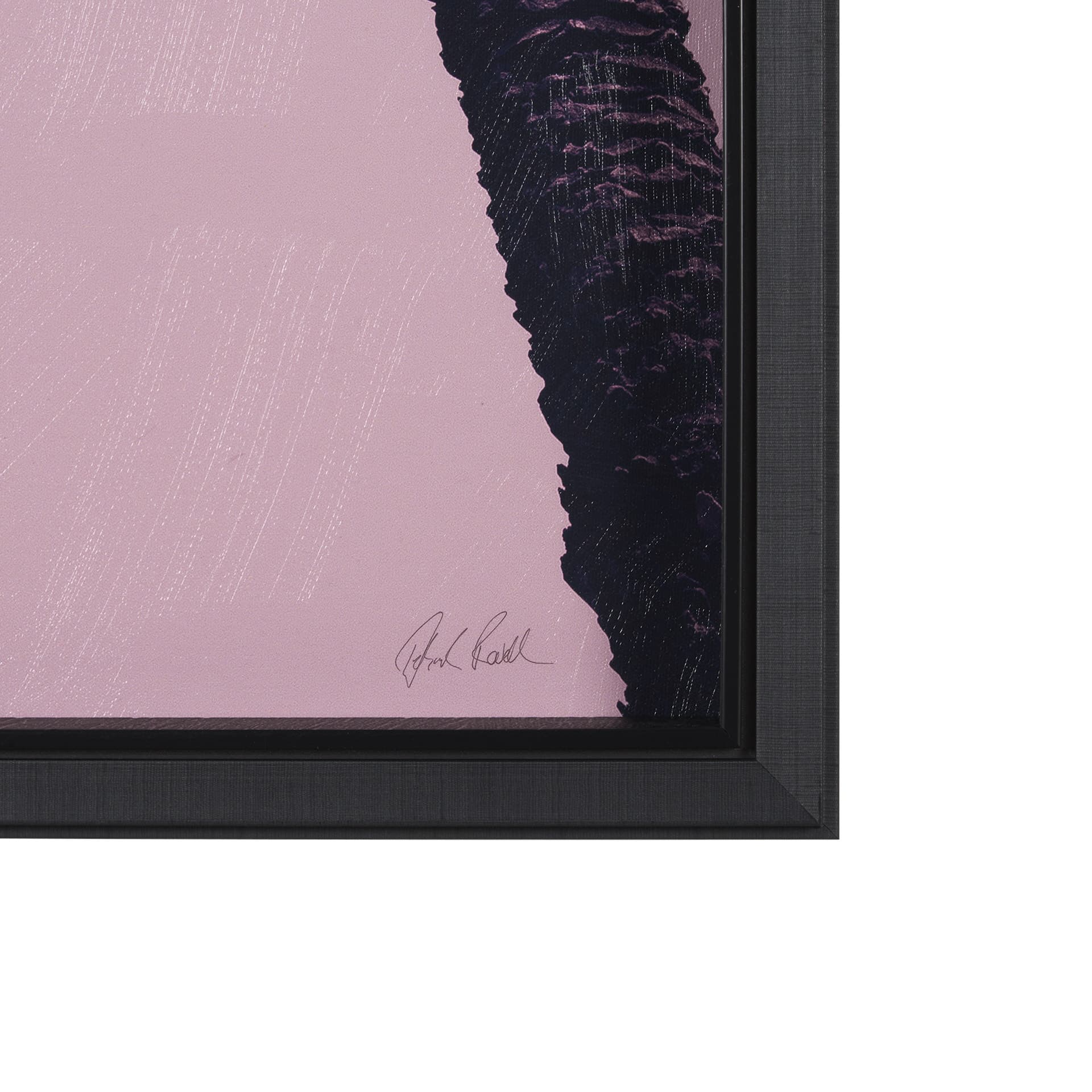 Pink Palms I by Deborah Revell a Hand Embellished Framed Photo Art Print — product photograph