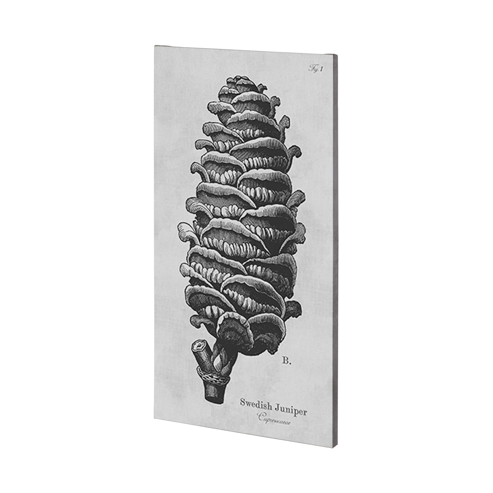 Swedish Juniper by Mercana Studio a Hand Embellished Textured Canvas — product photograph