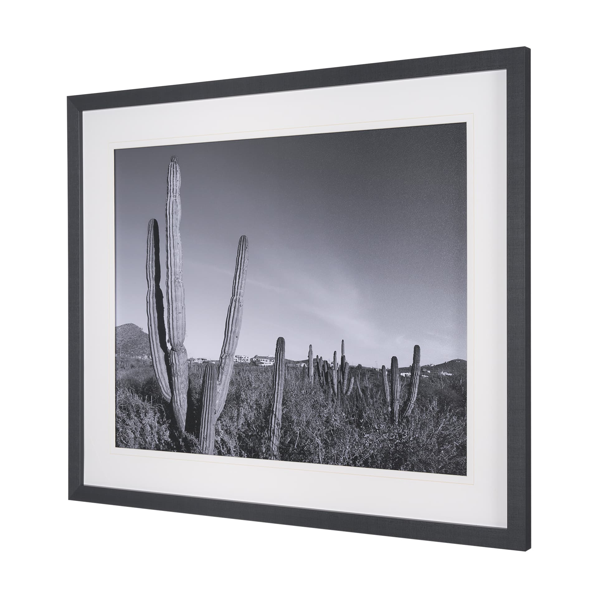 On The Ranch Cactus I by Norm Stelfox Hand Embelished Textured Framed Photo Art Print Matted under G — product photograph