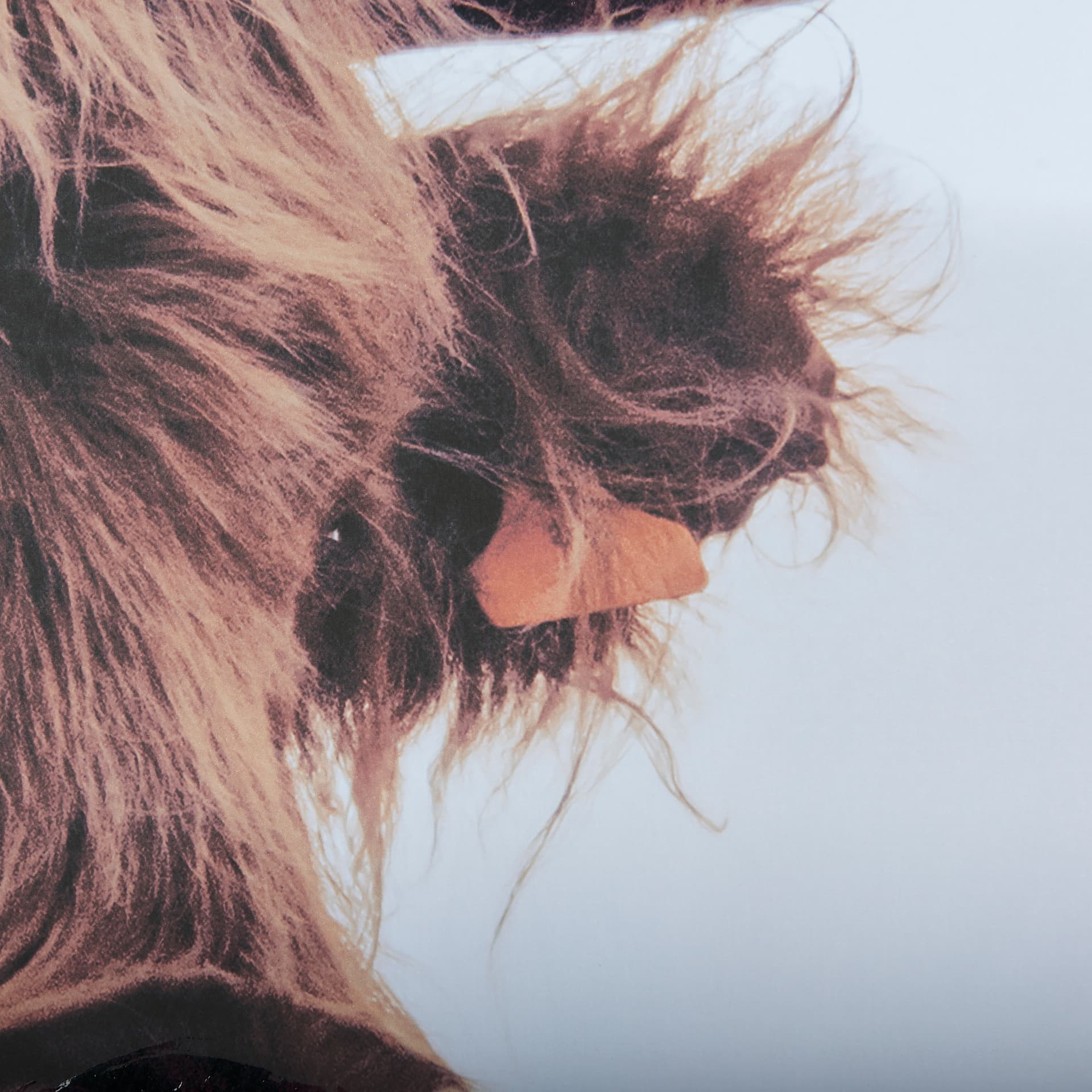 Stark Still-Look by Mercana Studio a Hand Embellished Textured Framed Photo Art Print Matted under G — product photograph