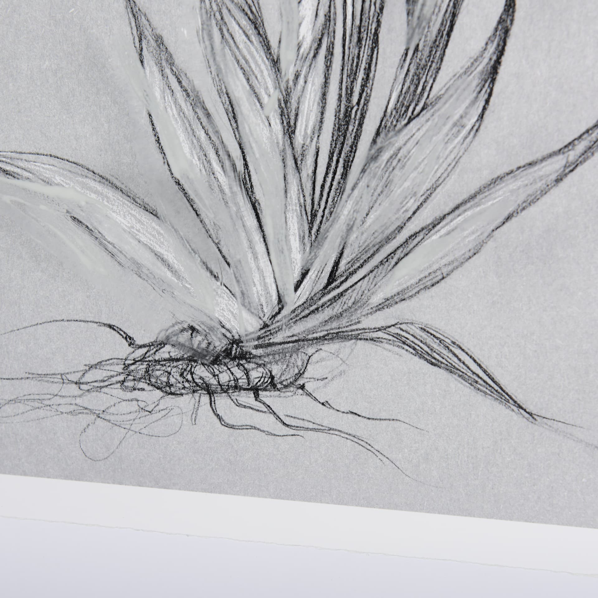 Botanical sketches IV (Grey) by Mercana Studio Hand Embellished Framed Art Print Matted under Glass — product photograph