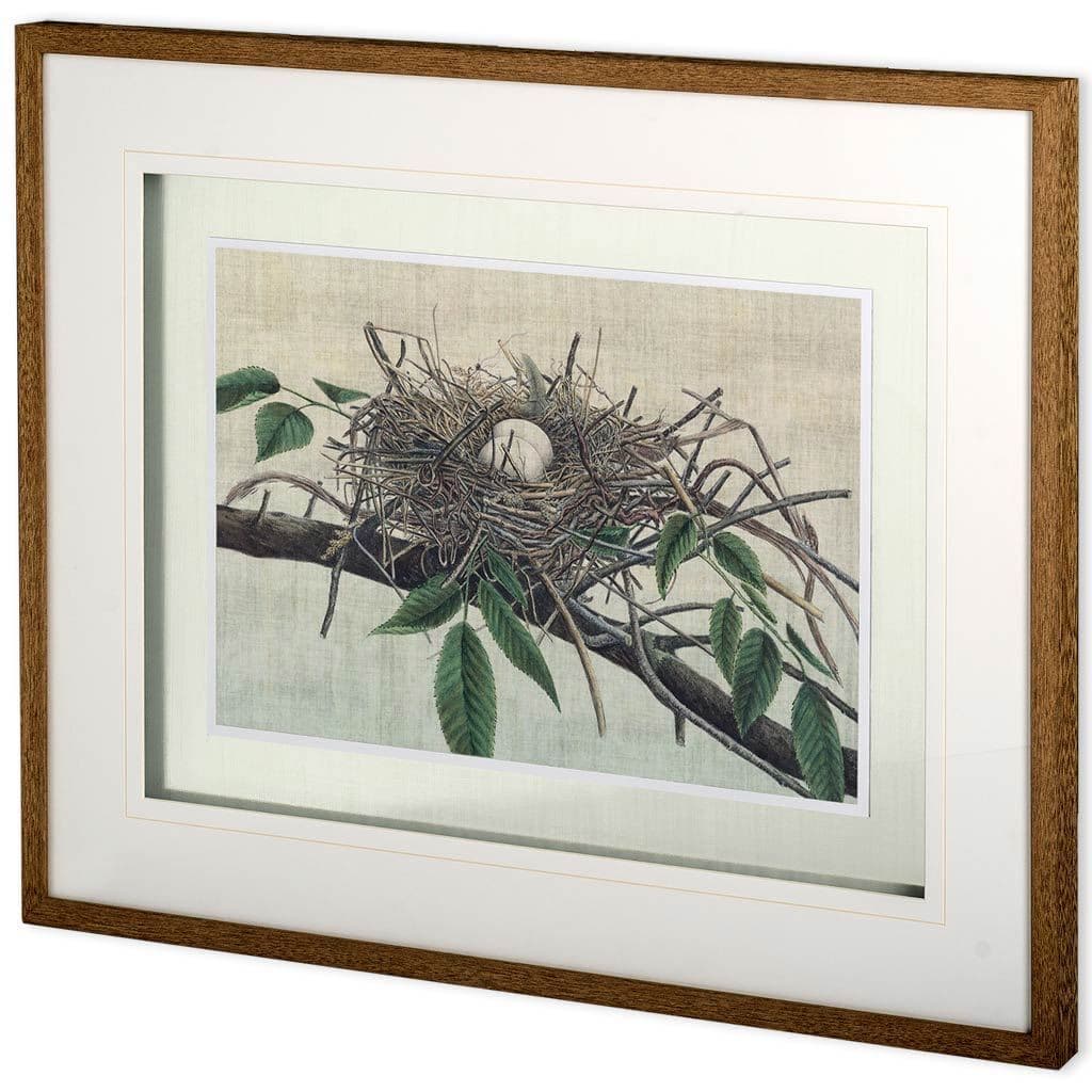 Custom Nesting III (MC) by John Butler Hand Embellished Textured Framed Art Print Matted under Glass — product photograph
