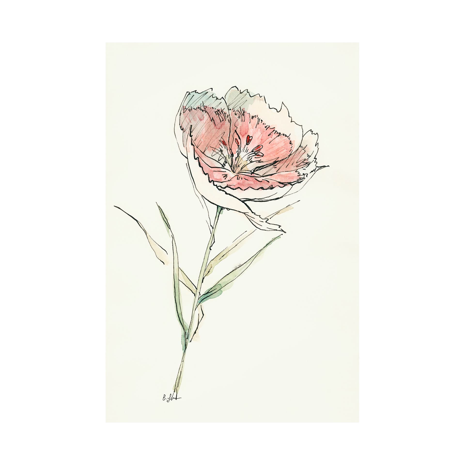 Dianthus II by Mercana Studio a Hand Embellished Textured Canvas — product photograph