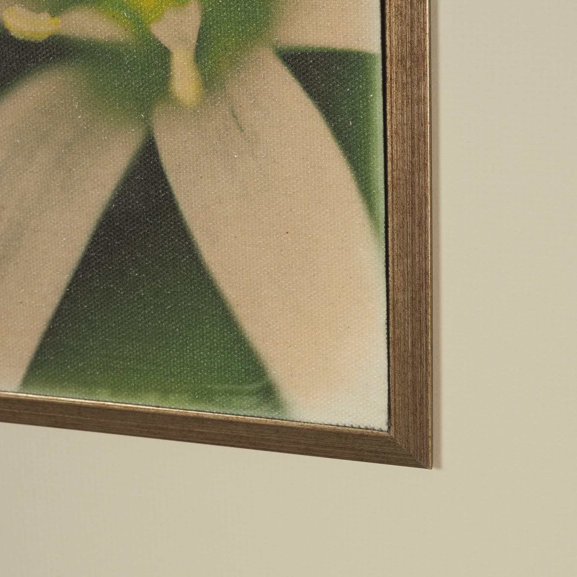Floral Finesse by Michael Banks a Hand Embellished Framed Photo Art Print Matted under Glass — product photograph