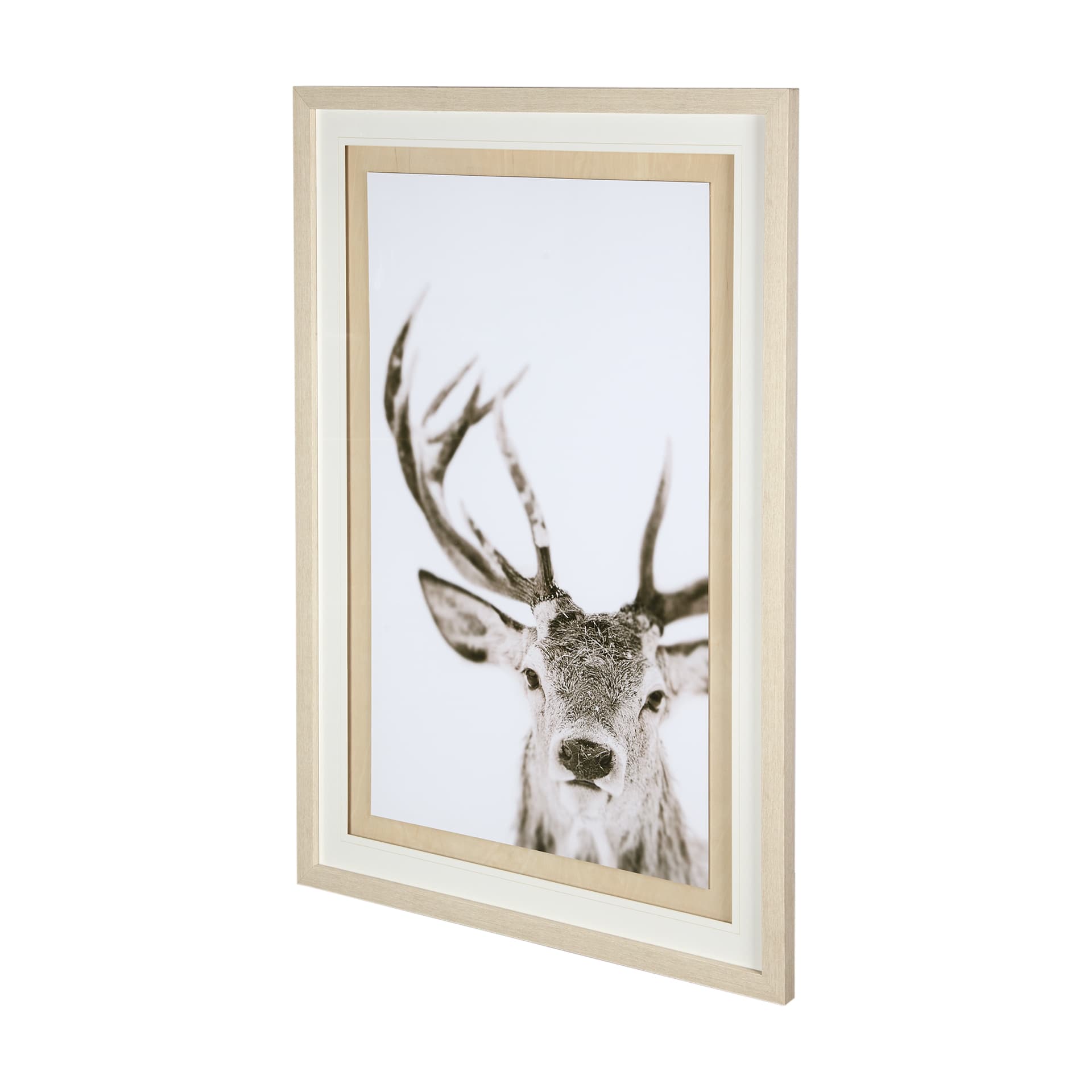 Ciervo 1 by THE Studio a Framed Photo Art Print Matted under Glass — product photograph