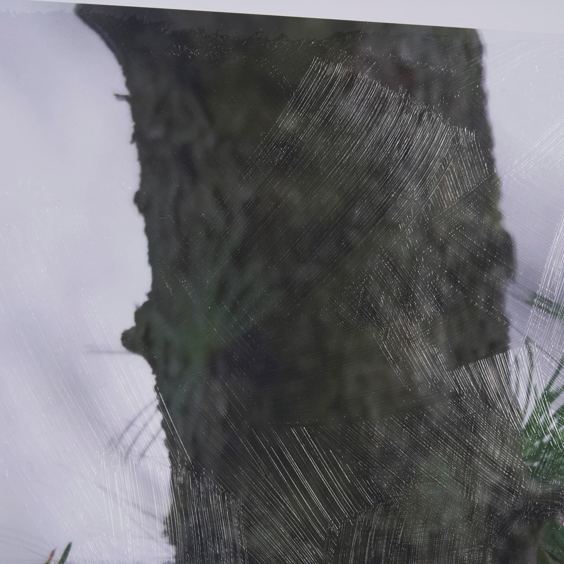 Porcupine Visit by Chad Mackay a Hand Embellished Framed Photo Art Print Matted under Glass — product photograph