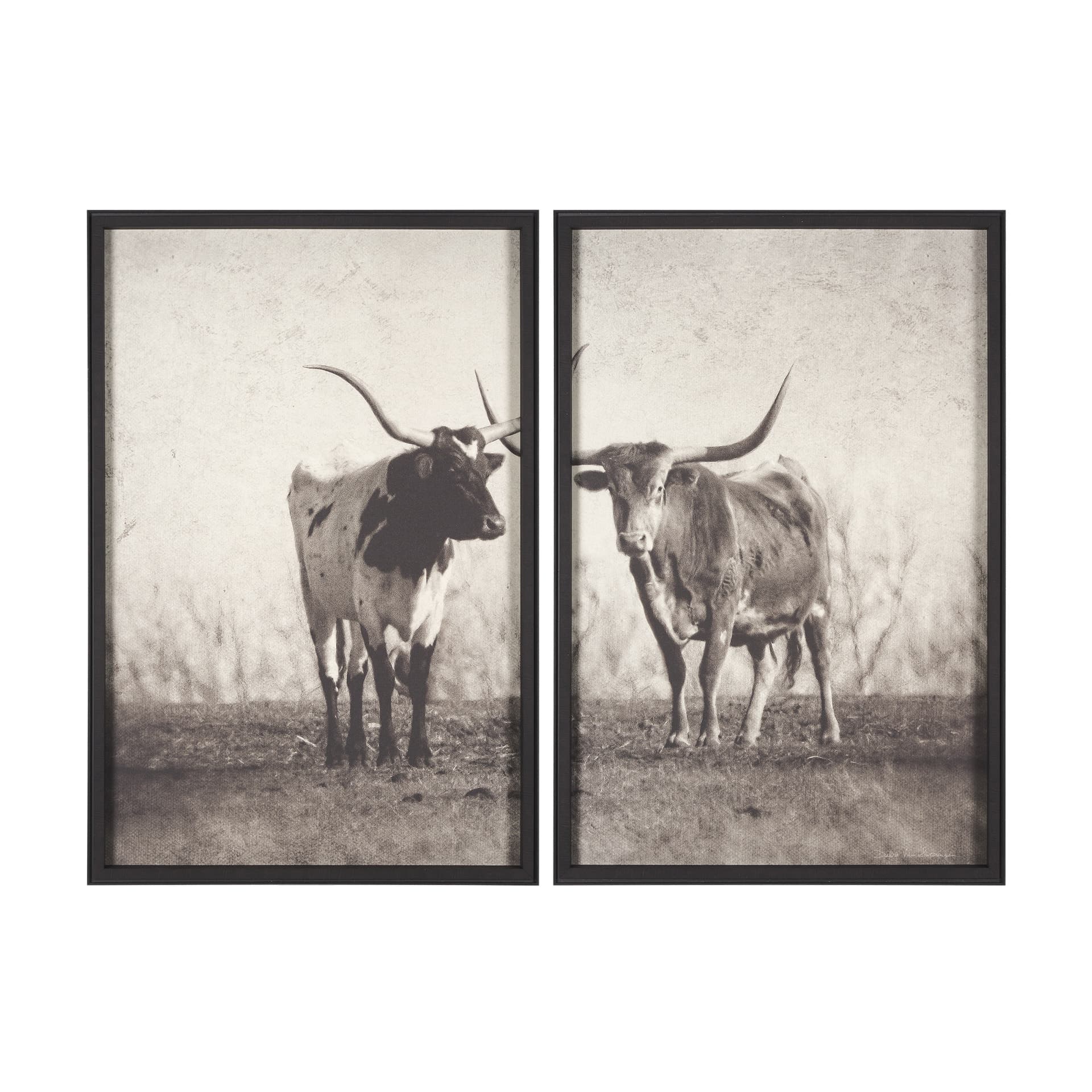 Texas Longhorns (Set of 2) by Debra Van Swearingen a Hand Embellished Framed Art Photograph Print — product photograph