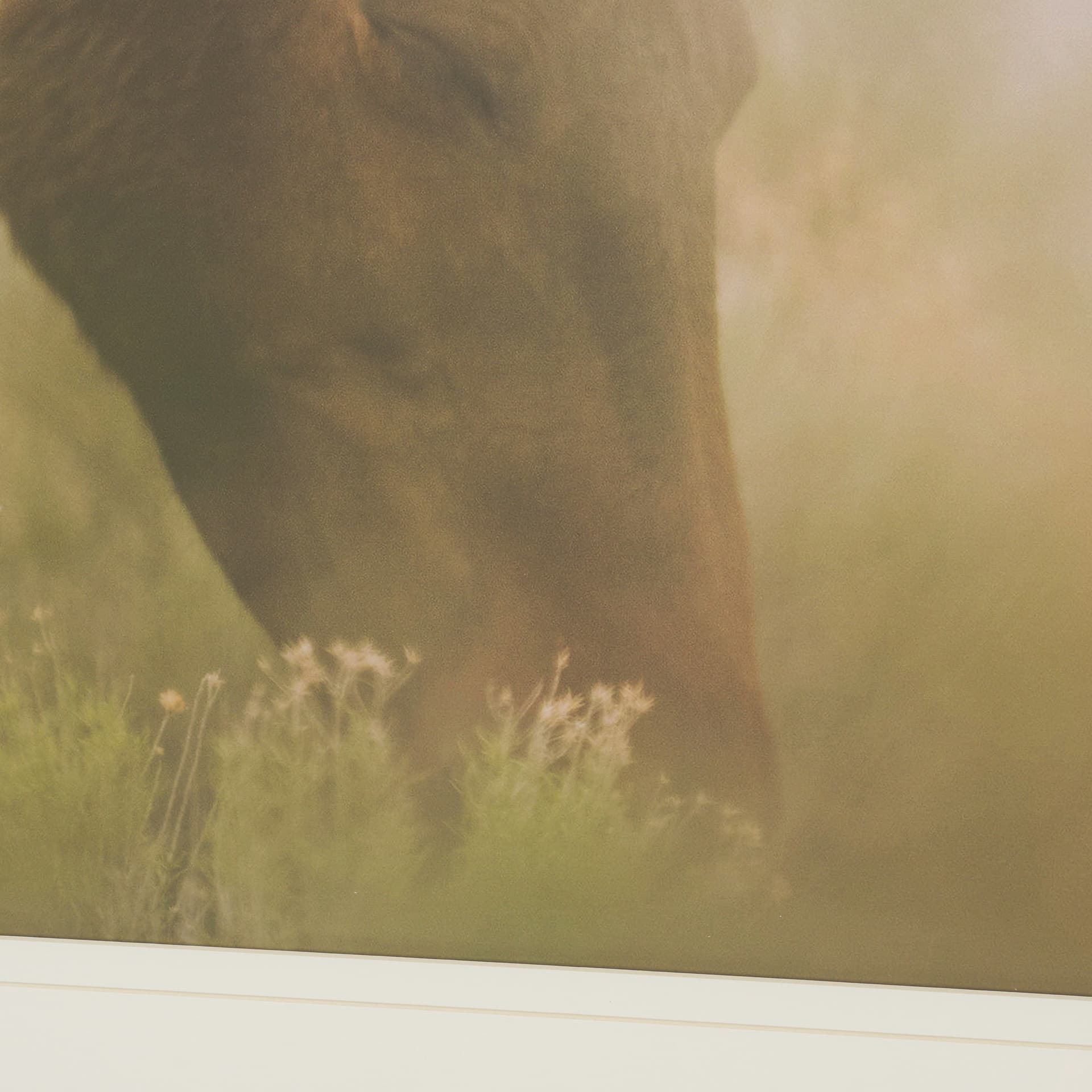 Magic by Chad Mackay FramedPhoto Print Matted under Glass — product photograph