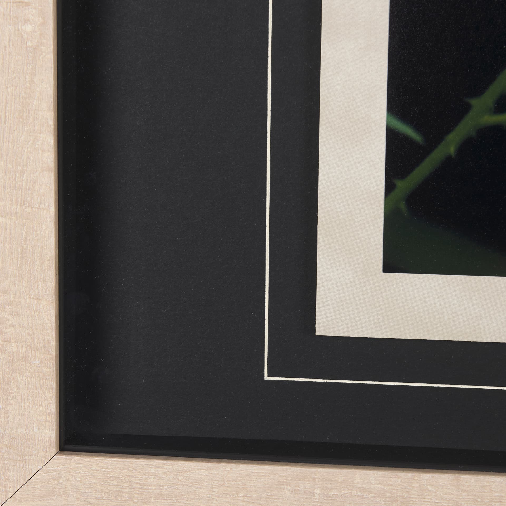 Bear by Chad Mackay a Framed Photo Art Print Matted under Glass — product photograph