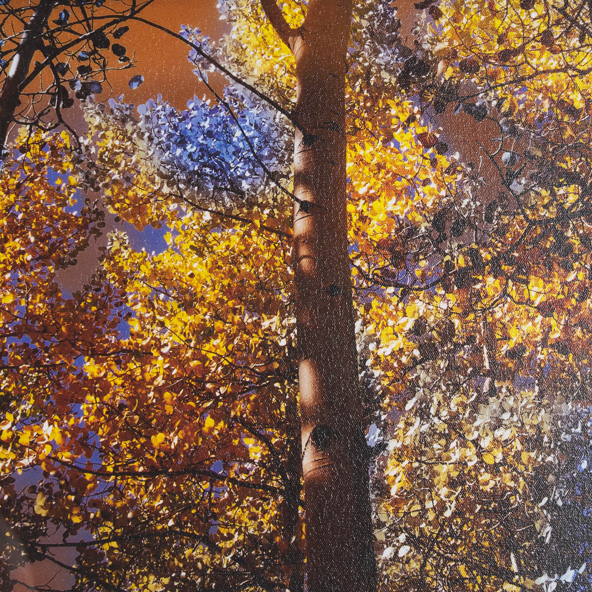 Leafy Shelter by Bobbie Goodrich a Hand Embellished Framed Photo Art Print Matted under Glass — product photograph