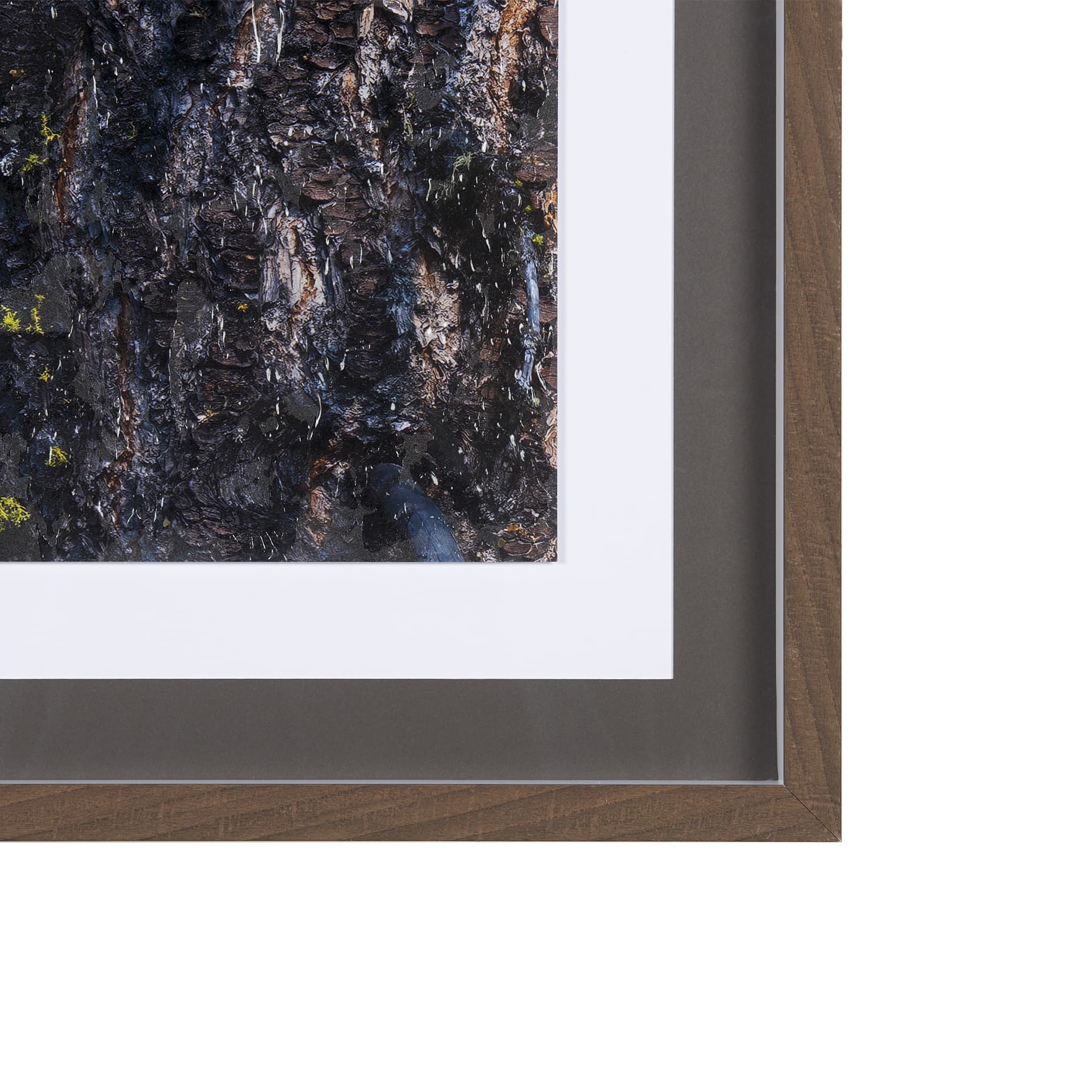 Night Owl by Chad Mackay a Hand Embellished Textured Framed Photo Art Print Matted under Glass — product photograph