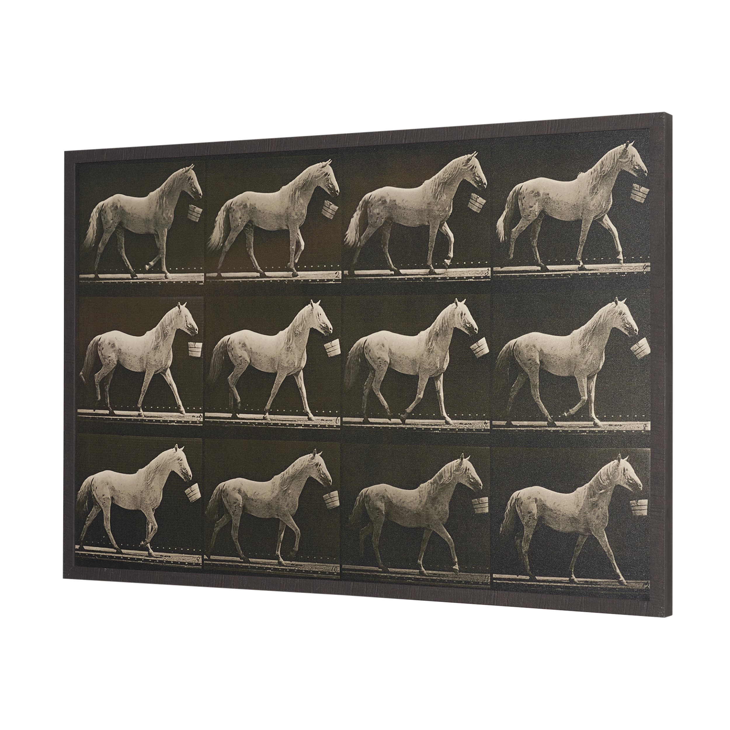 Walking Tall by Eadweard Muybridge Textured Framed CanvasPhoto Print — product photograph