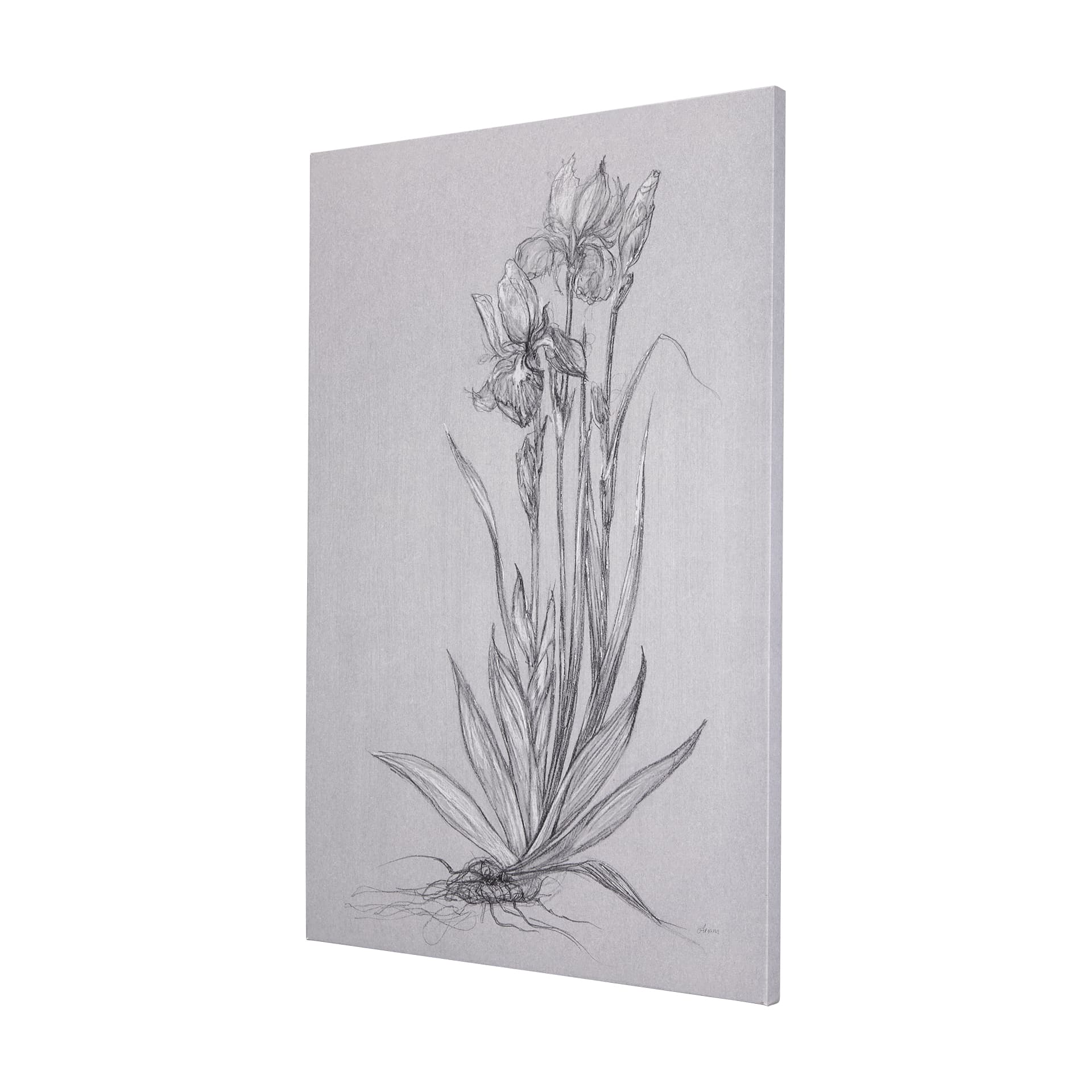 Botanical sketches IV (Grey) by Mercana Studio a Hand Embellished Textured Canvas — product photograph