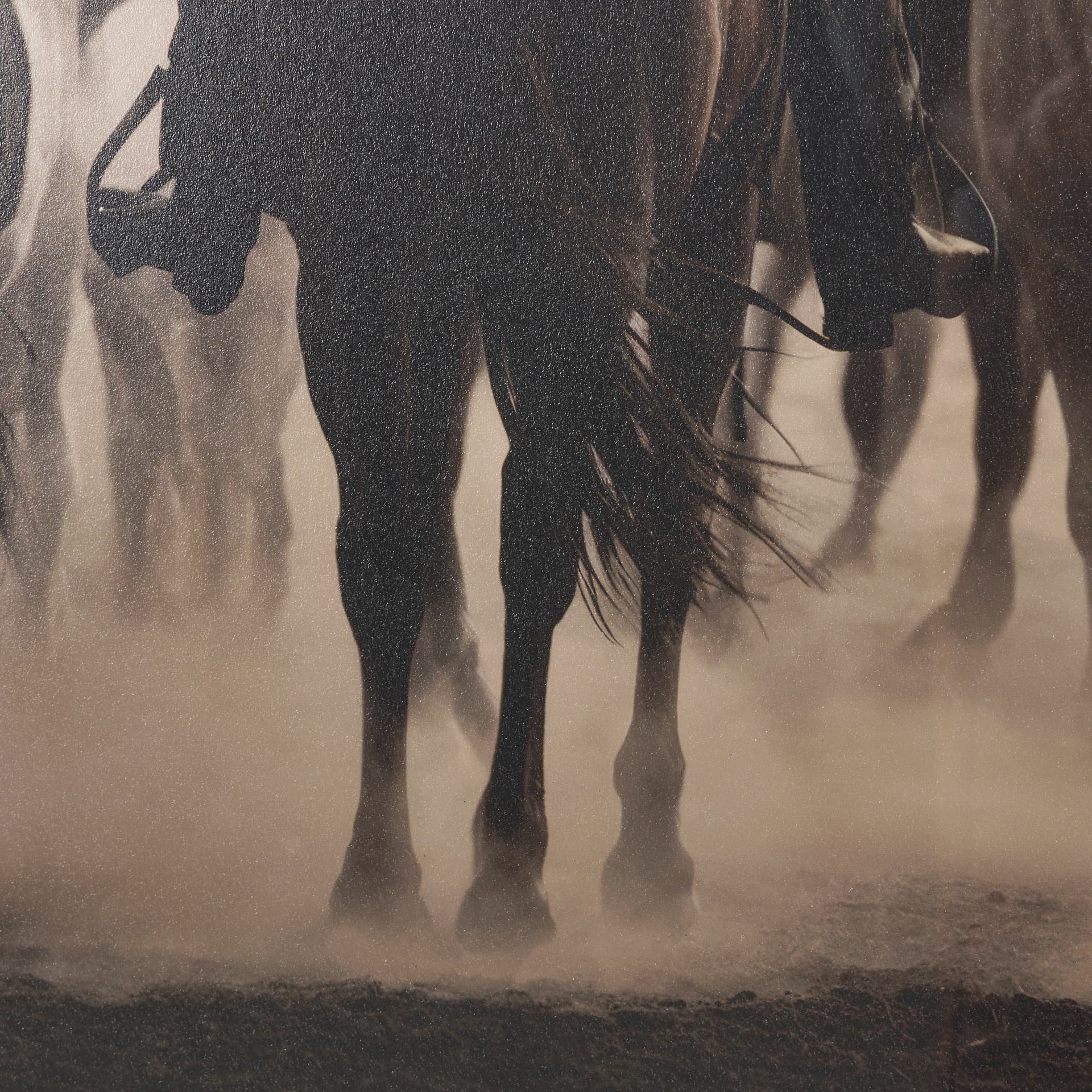 Western Horse Drive by Andreas Magnusson Textured FramedPhoto Print Matted under Glass — product photograph