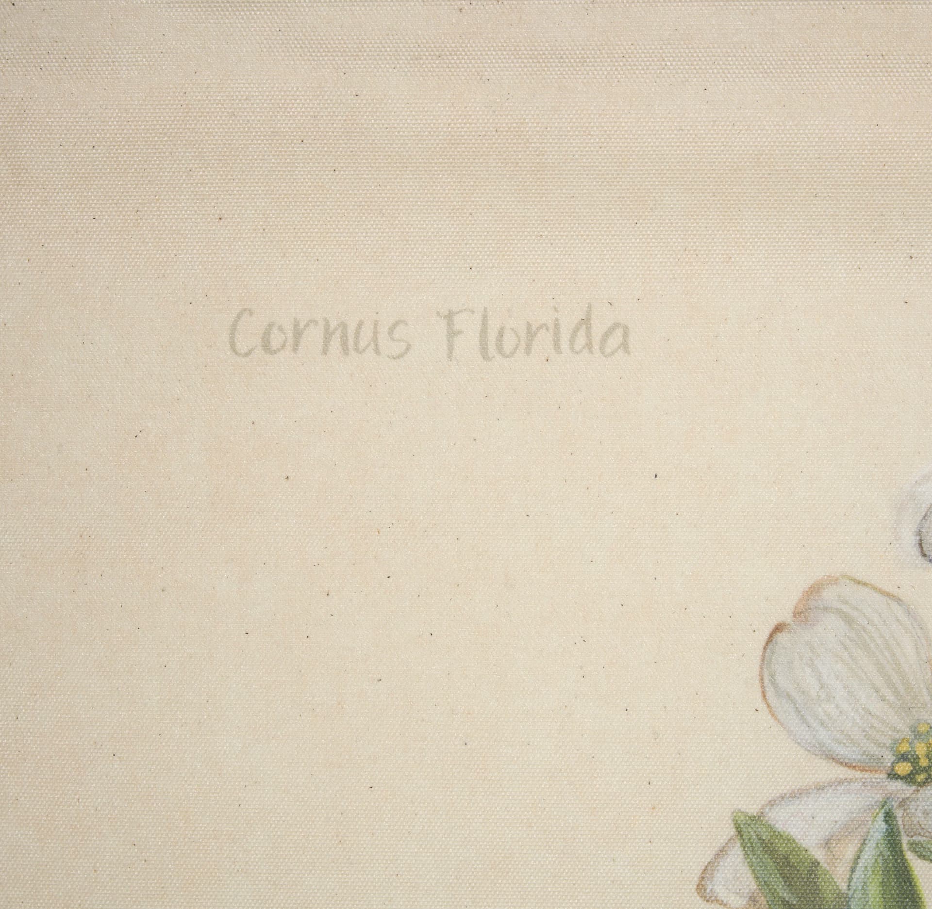 Botanical Study-Cornus Florida by Mercana Studio a Hand Embelished Textured Framed Art Print — product photograph
