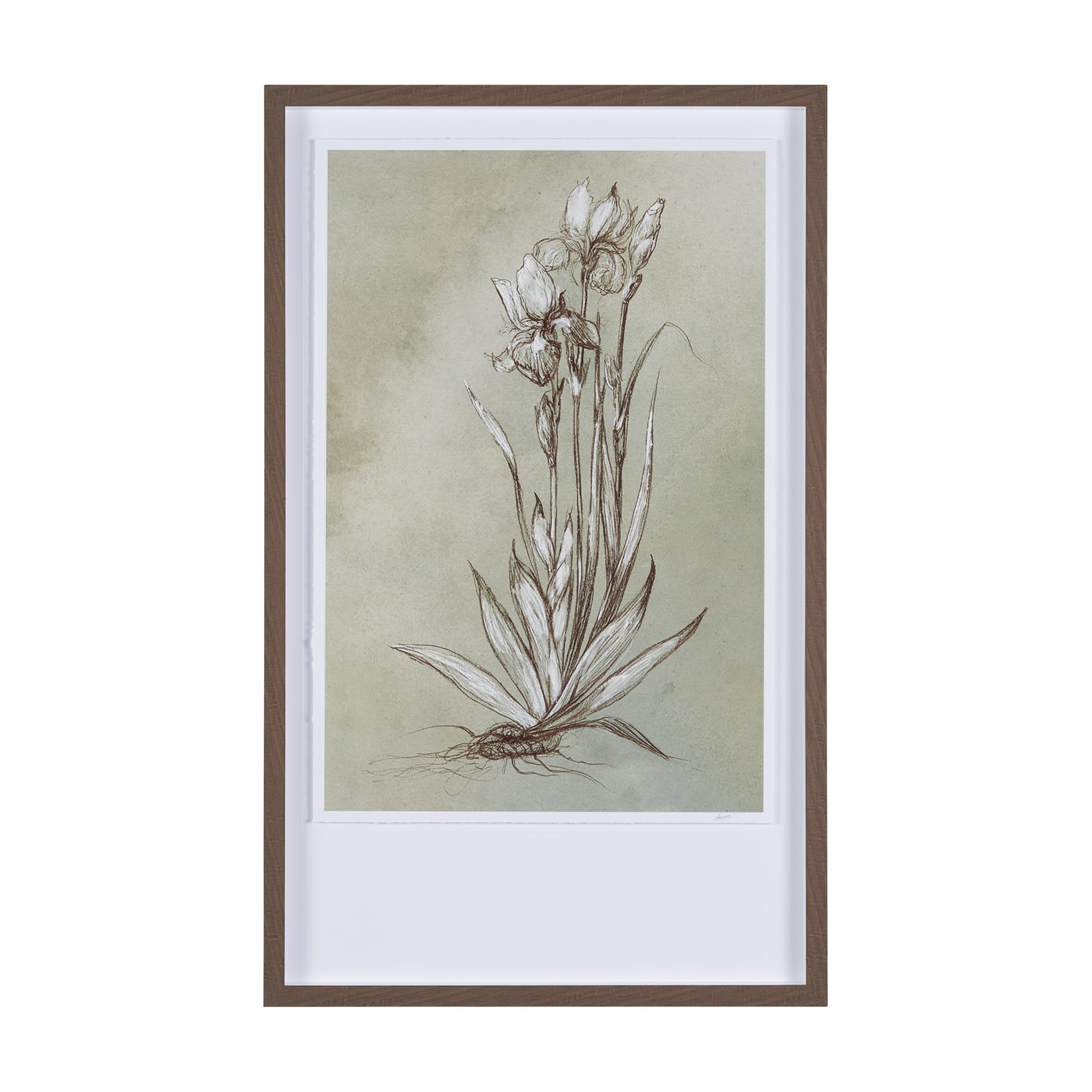 Botanical Sketch IV (green) by Mercana Studio Hand Embellished Framed Art Print Matted under Glass — product photograph