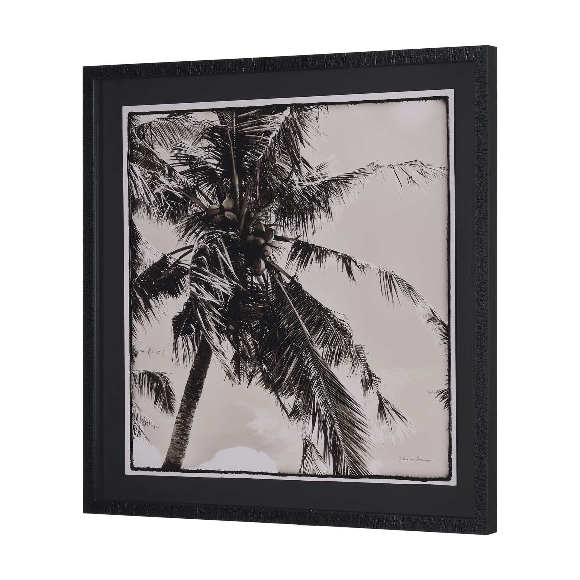 Palm Tree Sepia II by Debra Van Swearingen a Hand Embellished Framed Photo Art Print Matted under G — product photograph