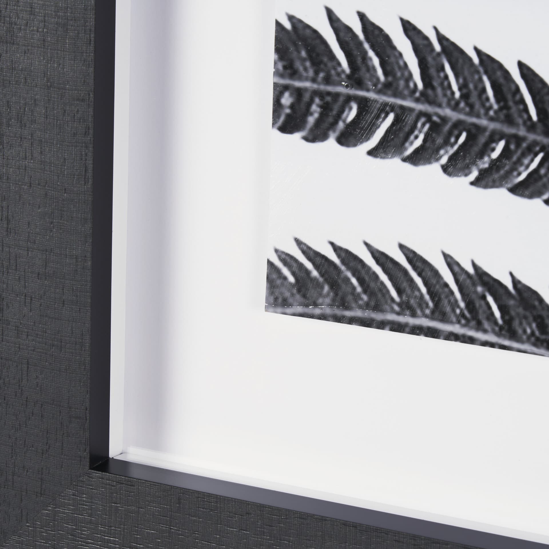Truth by Debra Van Swearingen a Hand Embellished Framed Photo Art Print Matted under Glass — product photograph