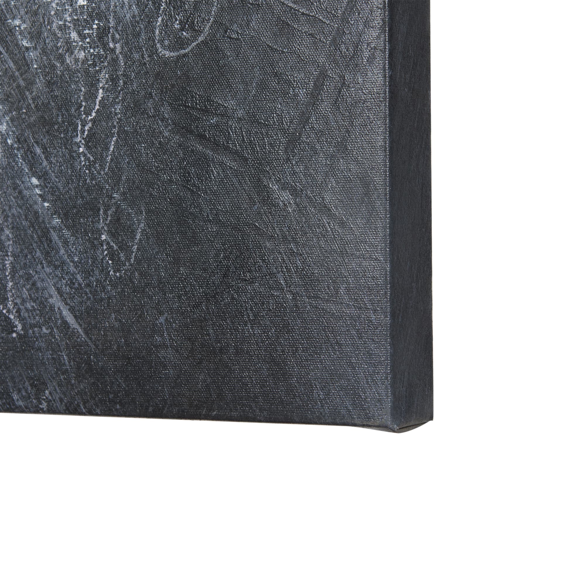 Animal Portrait I by Mercana Studio a Hand Embellished Textured Canvas — product photograph