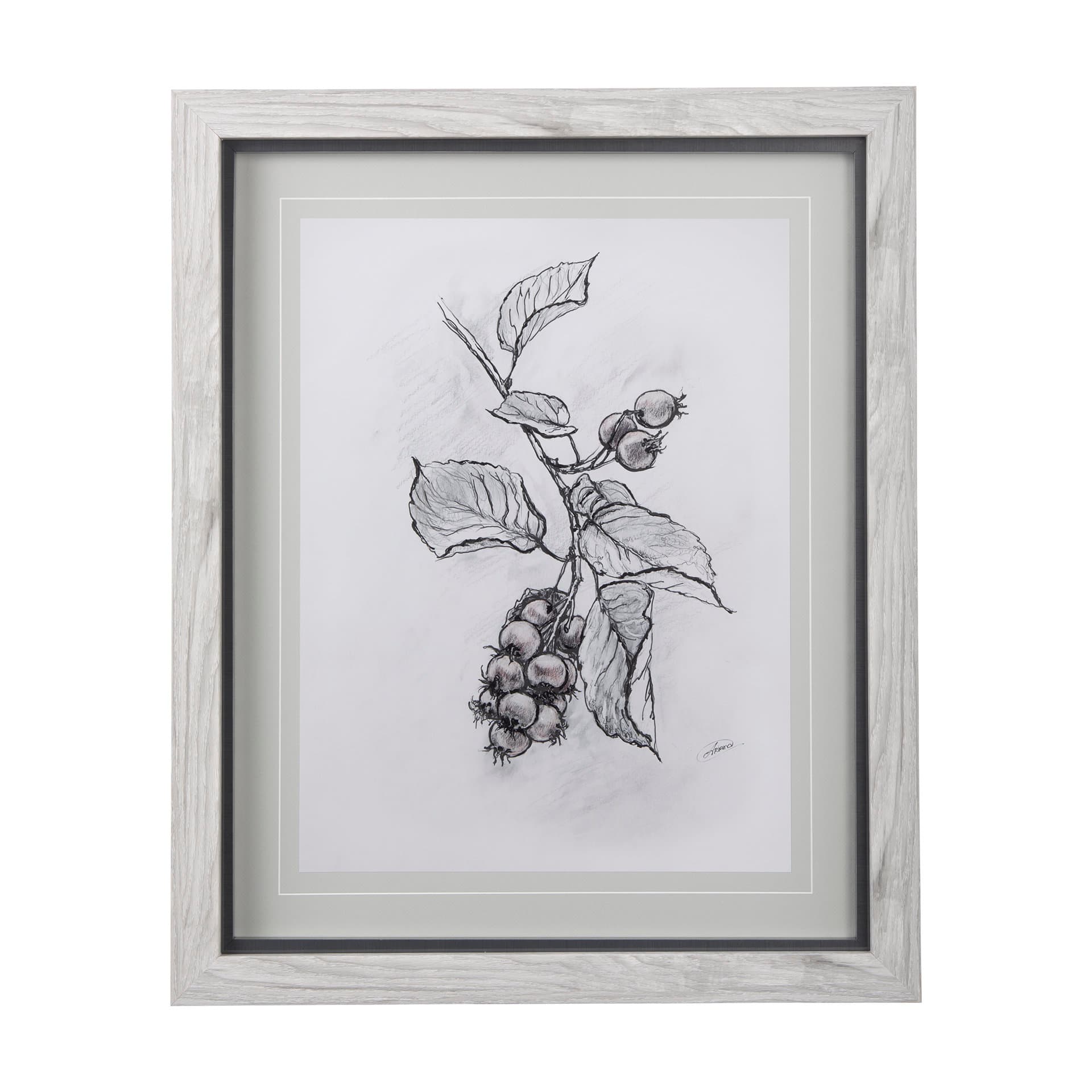 Saskatoonberry by Mercana Studio Hand Embellished Framed Art Print Matted under Glass — product photograph
