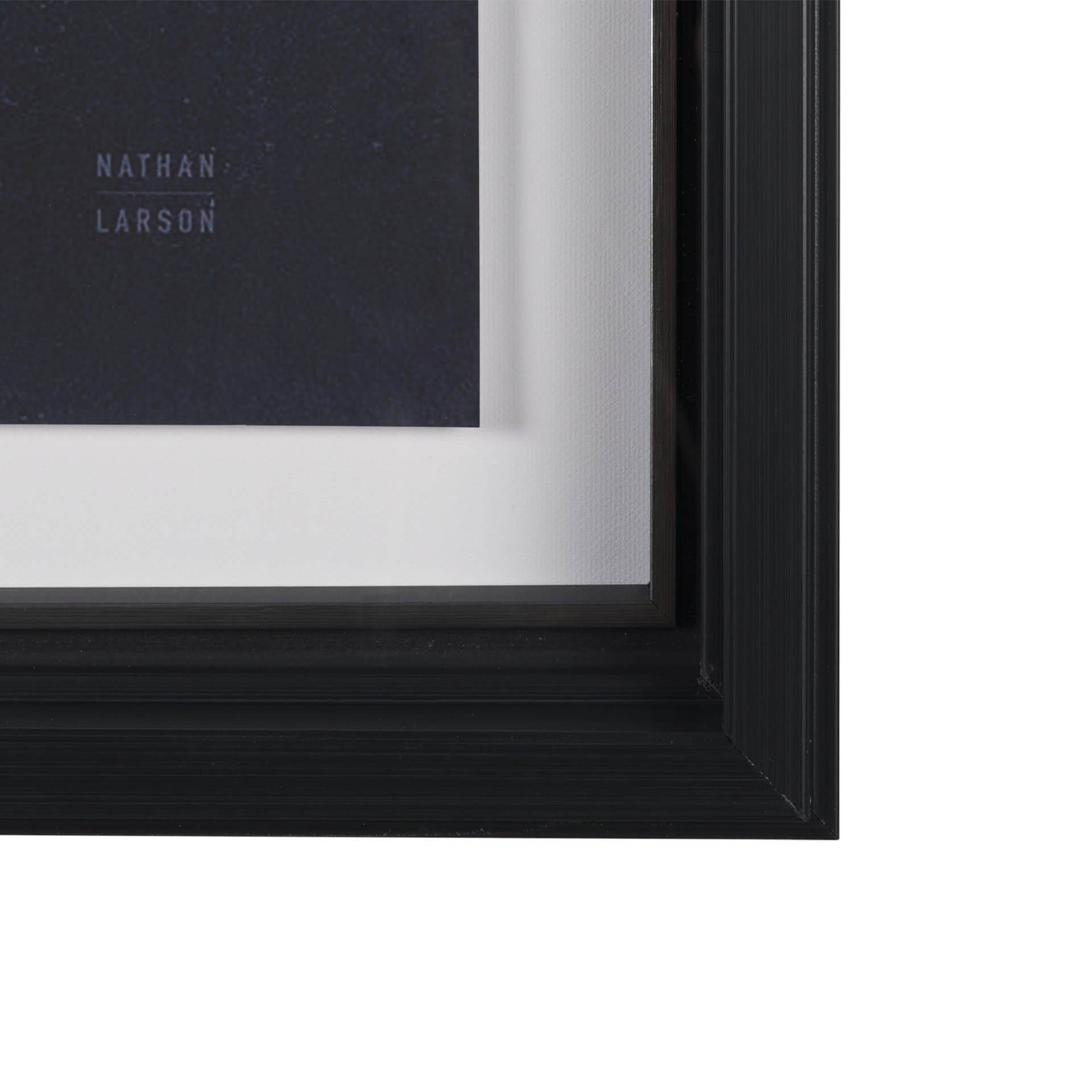 Urchin Still Life I by Nathan Larson a Hand Embellished Framed Photo Art Print Matted under Glass — product photograph