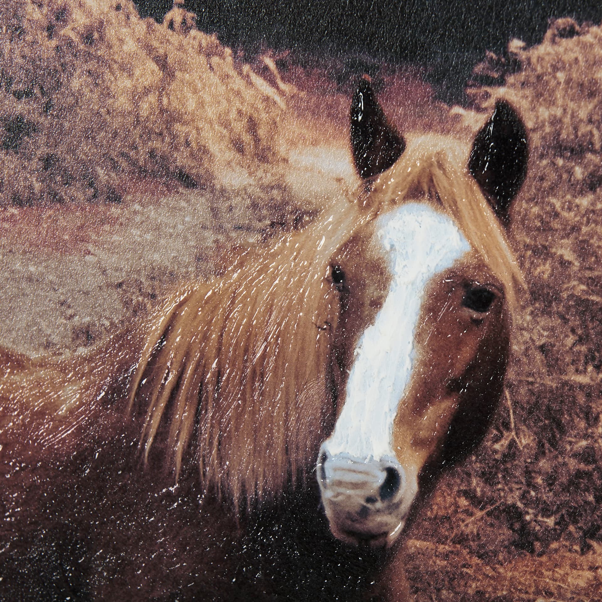 Forest Crossing by Mercana Studio a Hand Embellished Textured Framed Photo Art Print Matted under Gl — product photograph