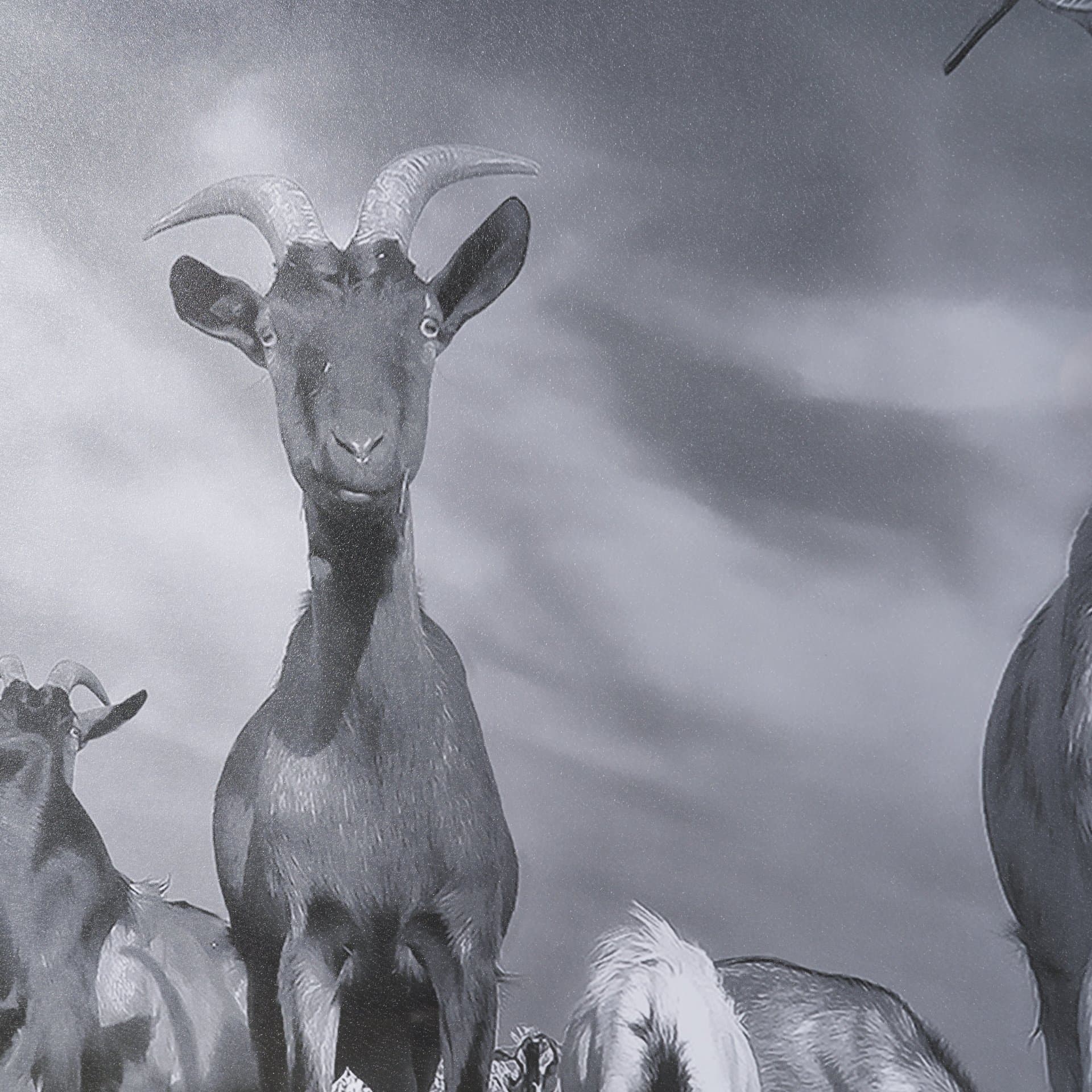 Curious Farm Goats by Novica Stankovic Hand-Embellished Textured Framed Artwork Matted under Glass — product photograph