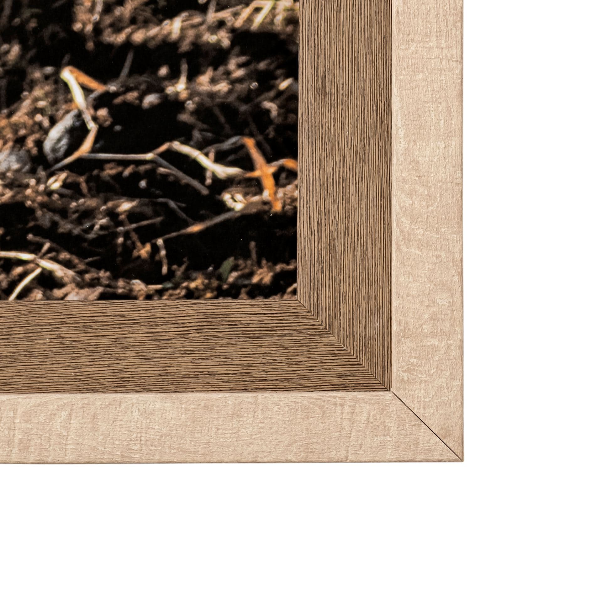 Rebel & Tinder by Katelyn Mostert a Framed Photo Art Print Matted under Glass — product photograph
