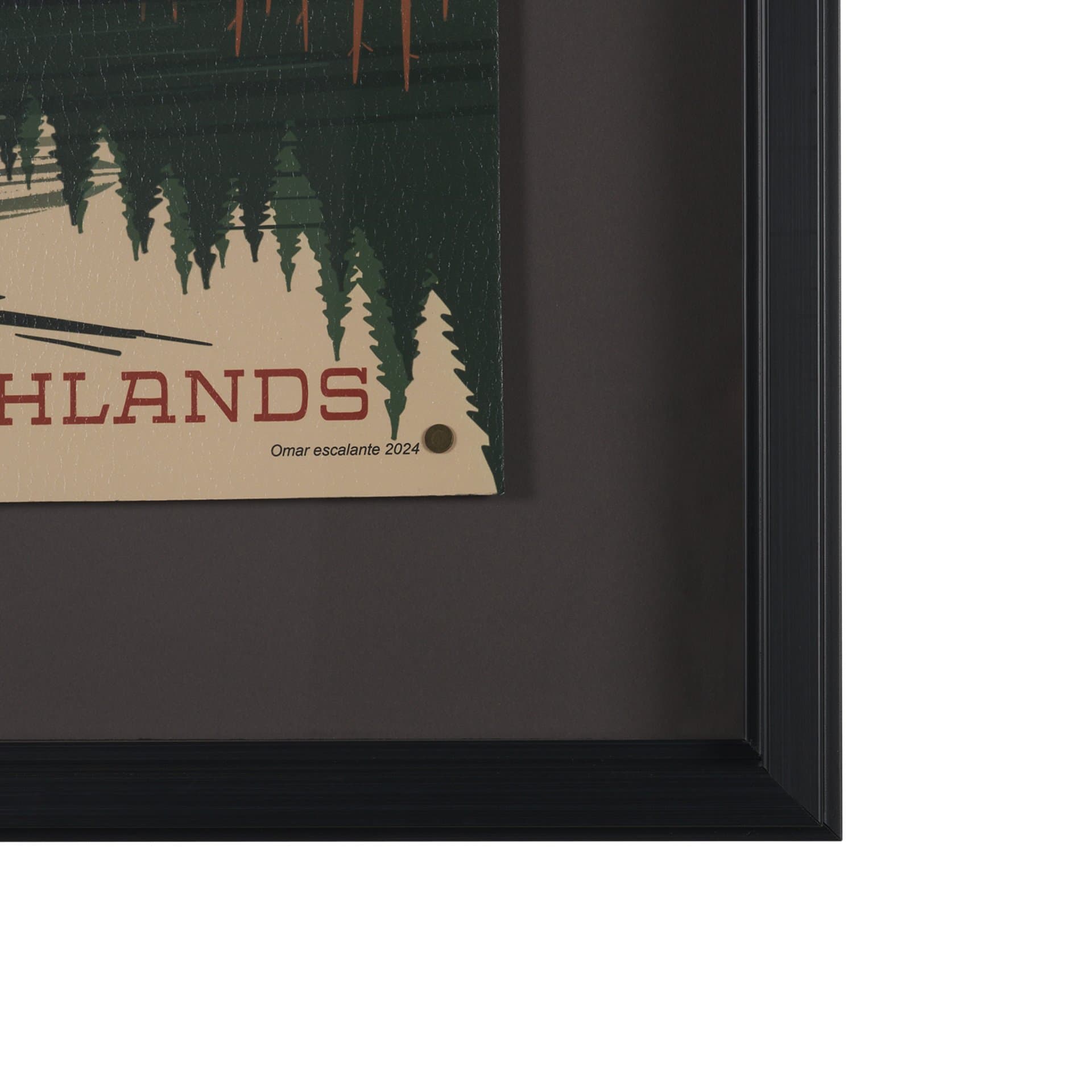 Cryptid Tourism III by Omar Escalante Textured Framed Artwork Matted under Glass — product photograph