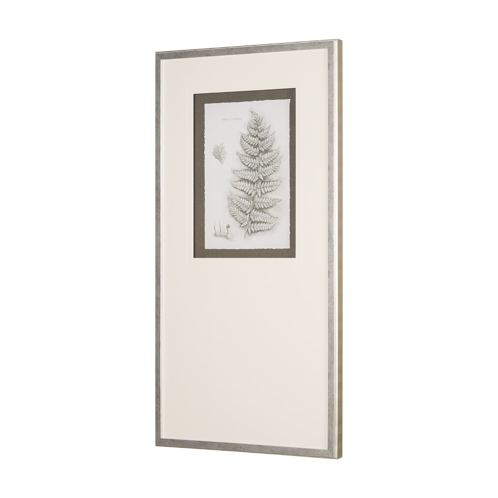 Fern Study II by Mercana Studio Hand Embelished Framed Art Print Matted under Glass — product photograph