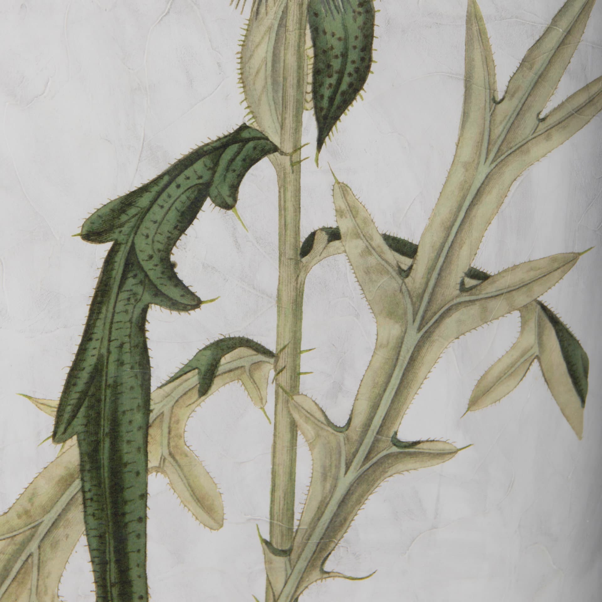 Soft Blue Botanoicals VI by Mercana Studio Hand Embellished Framed Art Print Matted under Glass — product photograph