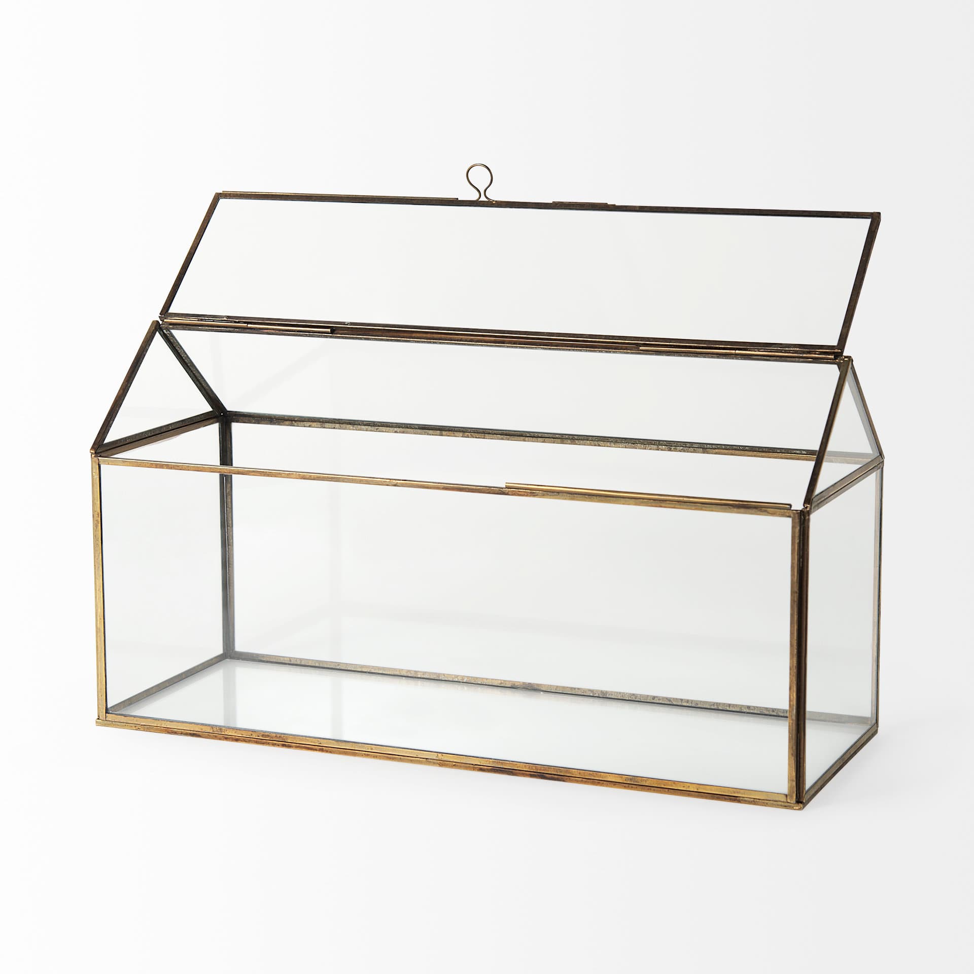 Hutt 16L x 6W x 9H Gold Glass Terrarium Box — product photograph