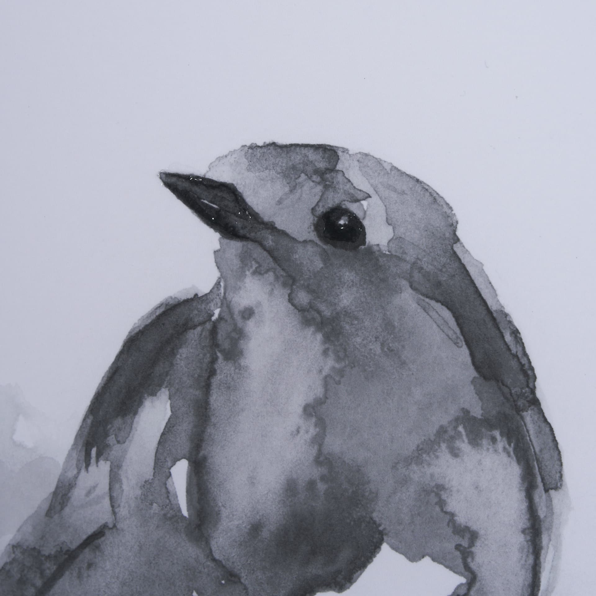 Robin BW I by Mercana Studio a Hand Embellished Textured Framed Art Print Matted under Glass — product photograph