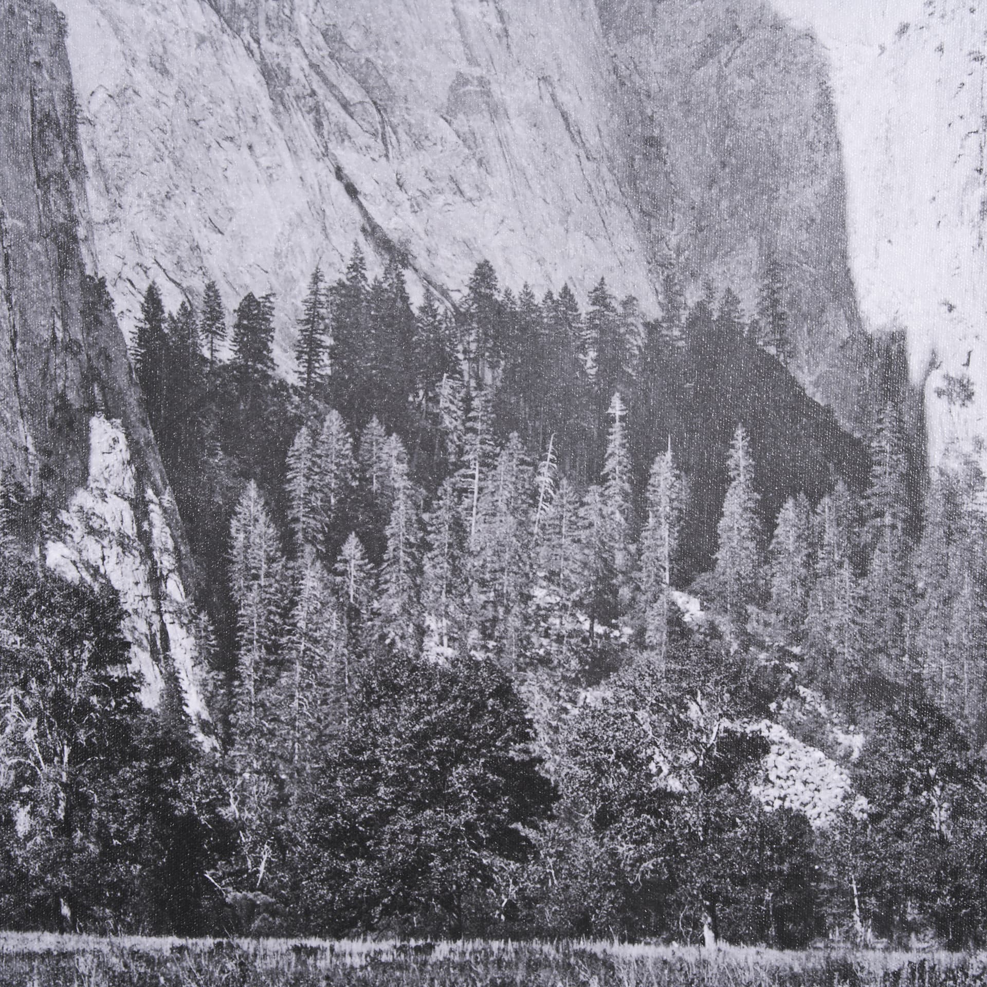 Cathedral Rock by Carleton E Watkins a Hand Embellished Textured Framed Photo Art Print — product photograph