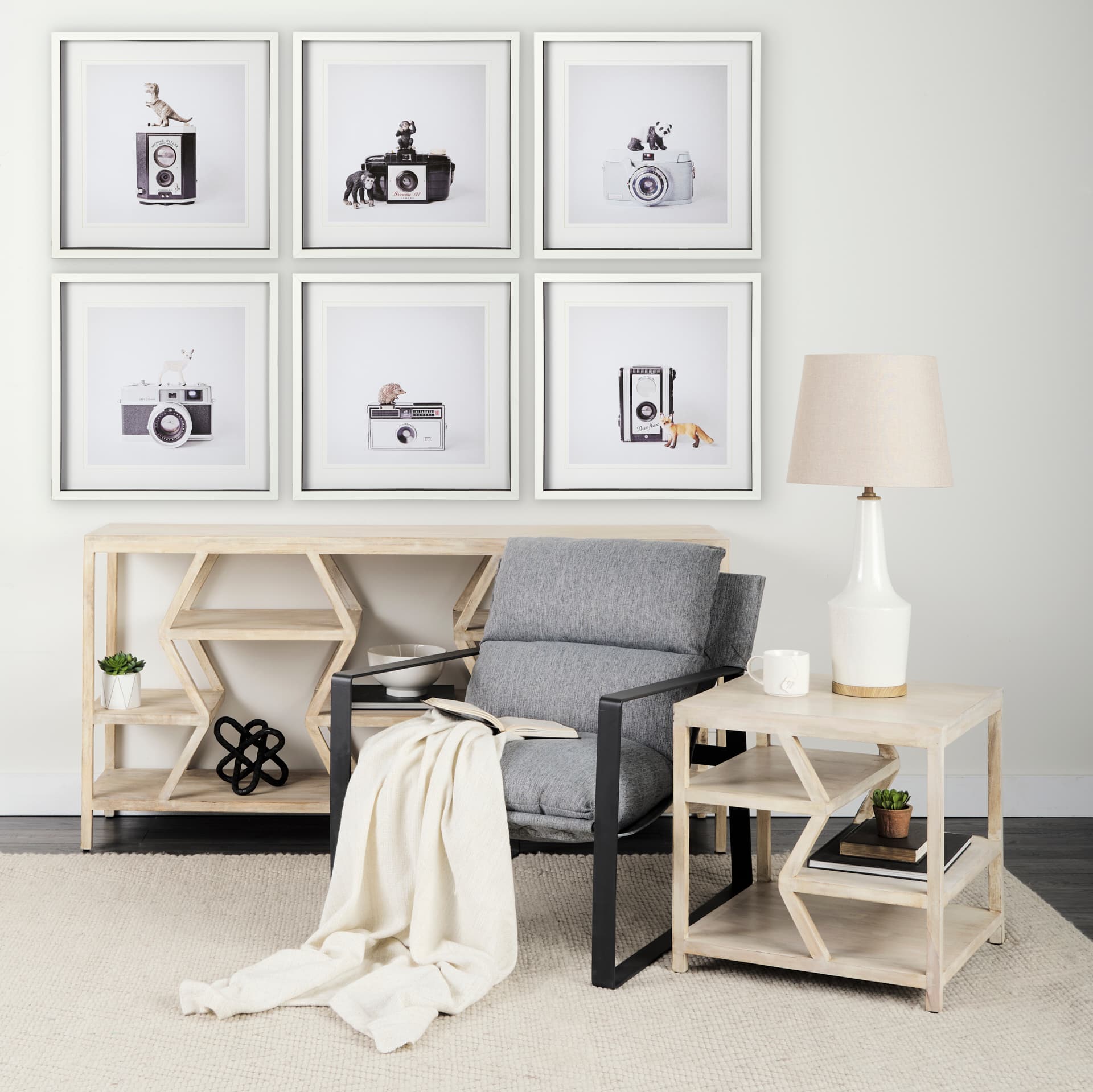 Monkeys & Vintage Camera by Susannah Tucker Photography a Framed Photo Art Print Matted under Glass — in a styled room