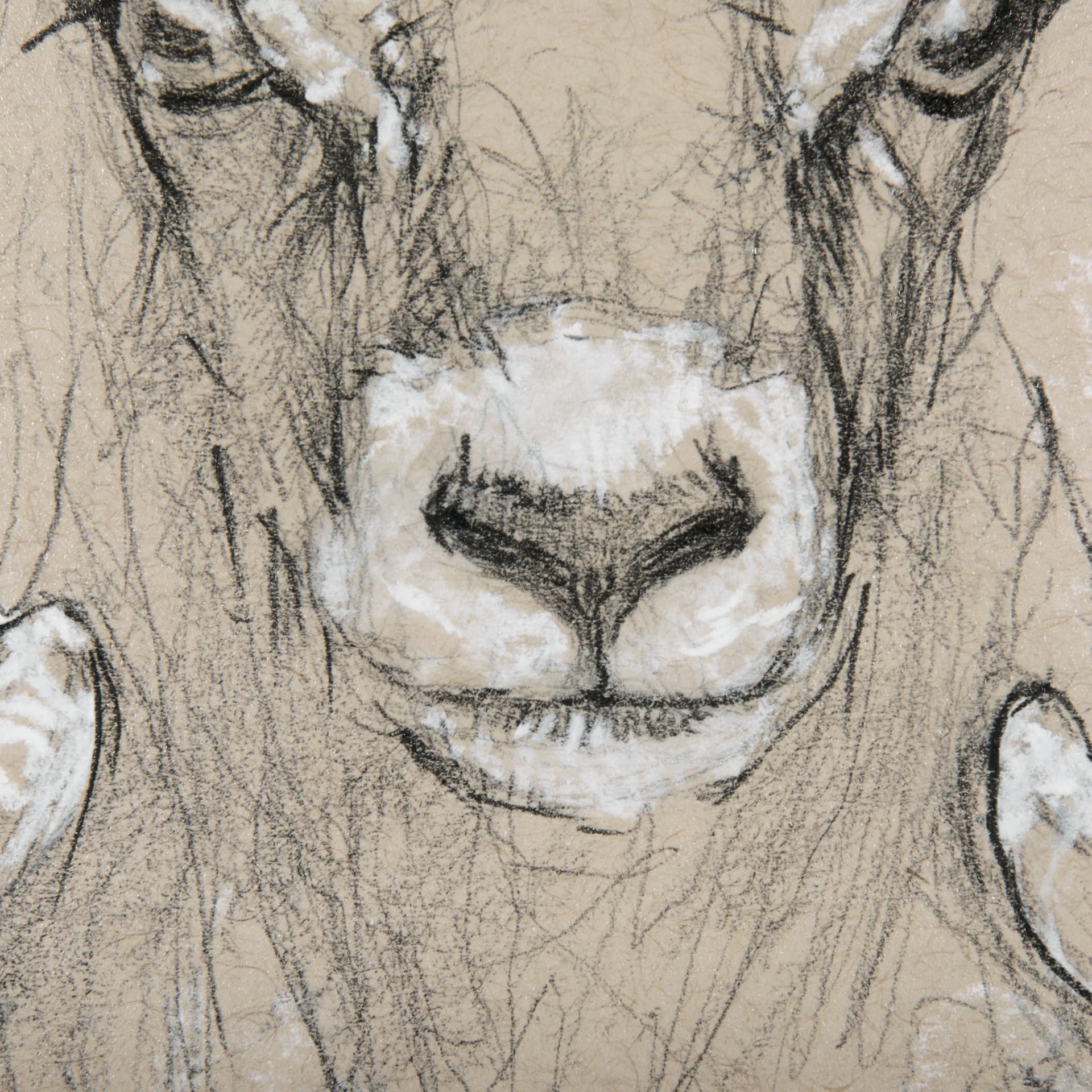 Sketch of animal I (Wild sheep) Mercana Studio Hand Embellished Framed Art Print Matted under Glass — product photograph