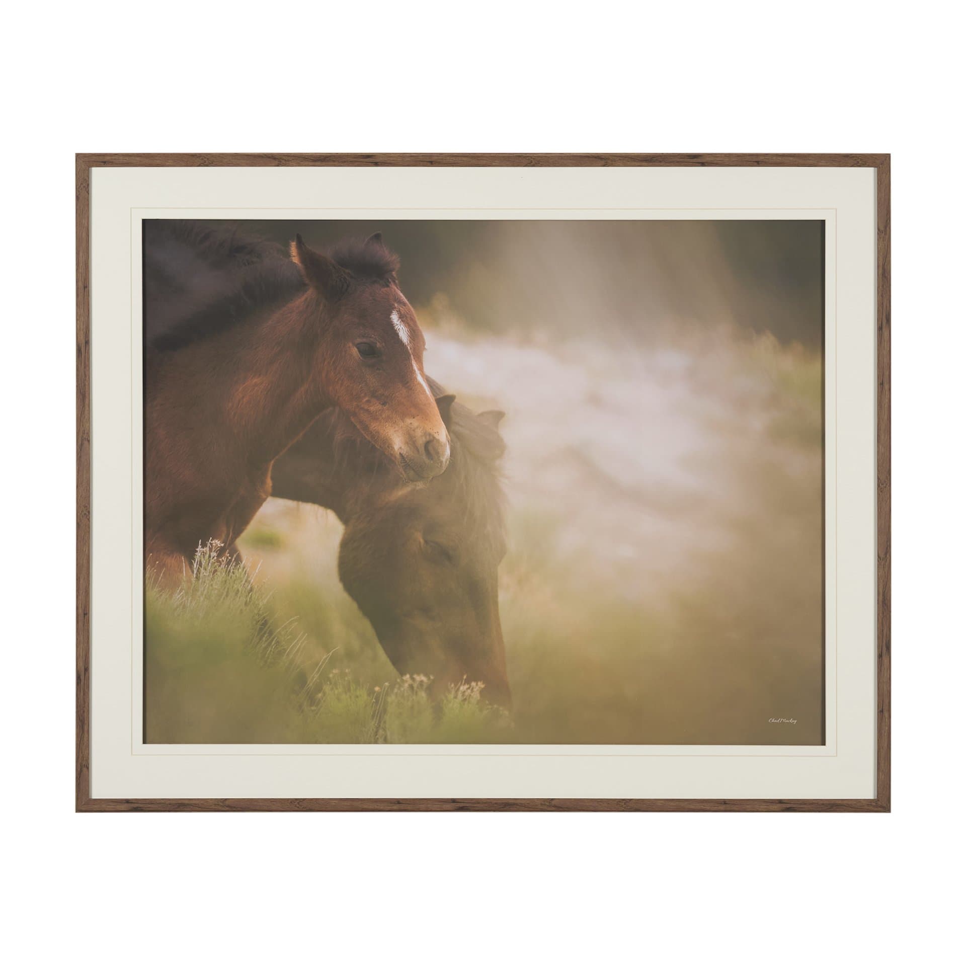 Magic by Chad Mackay FramedPhoto Print Matted under Glass — product photograph
