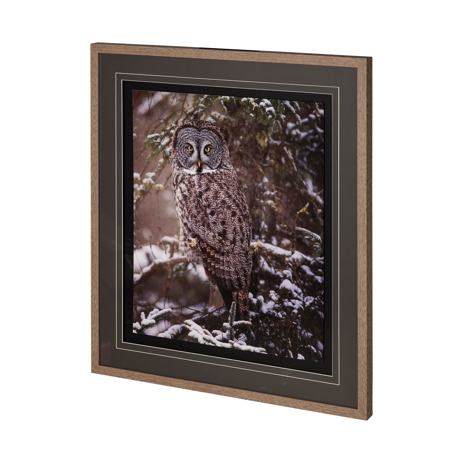 Owl in the Snow by PHBurchett a Framed Photo Art Print Matted under Glass — product photograph