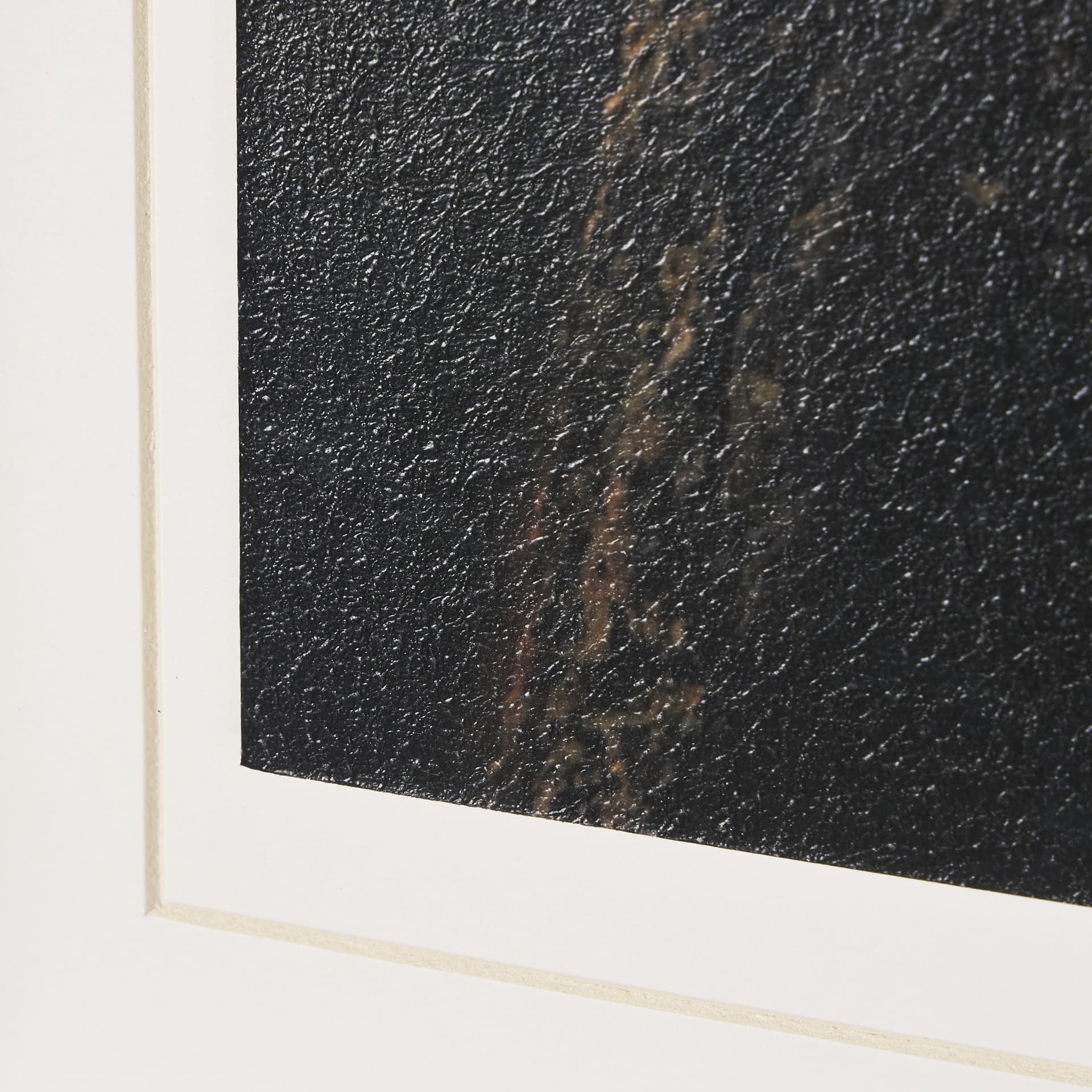 Triplets by Xavier Ortega a Framed Photo Art Print Matted under Glass — product photograph