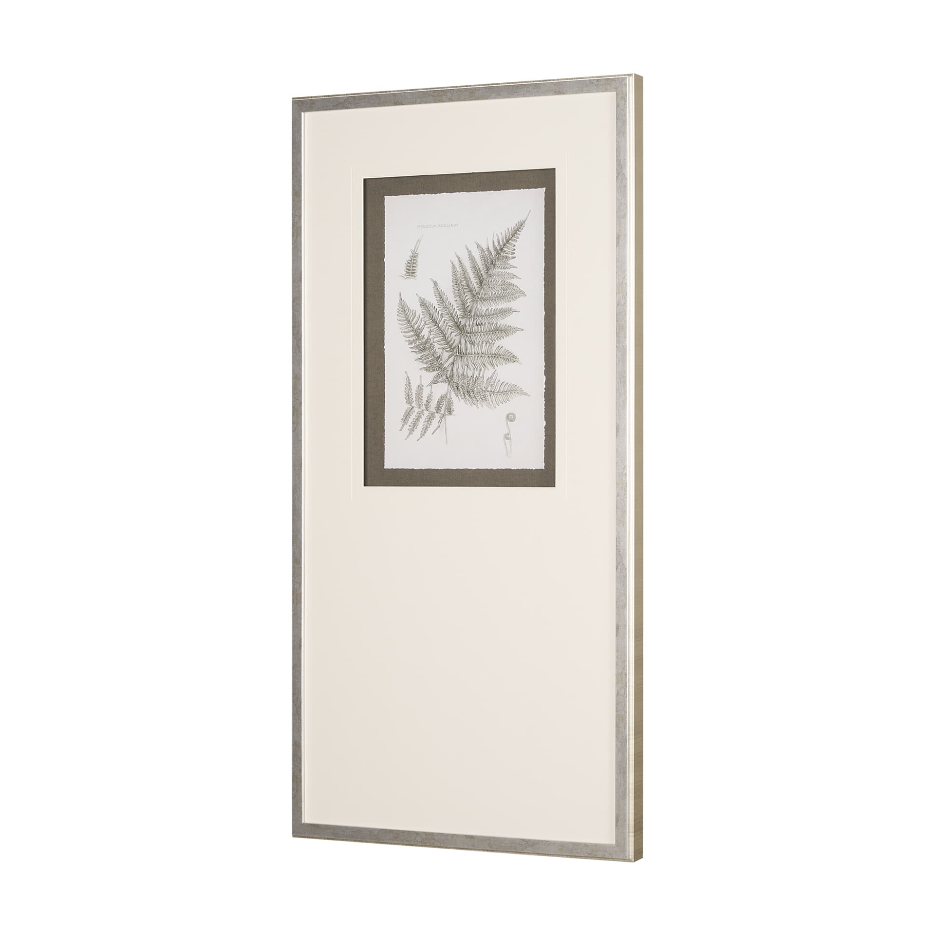Fern Study III by Mercana Studio Hand Embelished Framed Art Print Matted under Glass — product photograph